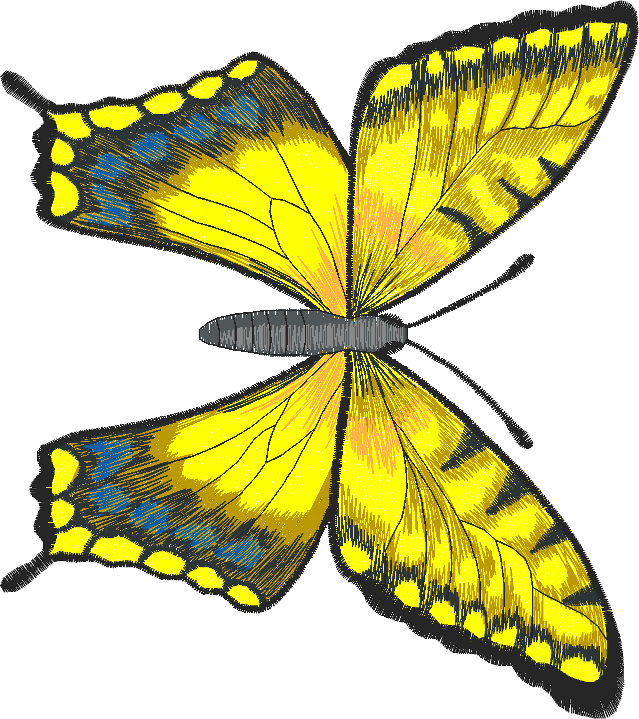 Jumbo   Butterflies 1  (7)