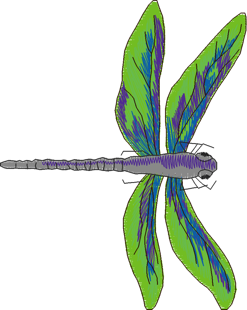 Jumbo   Butterflies 1  (9)