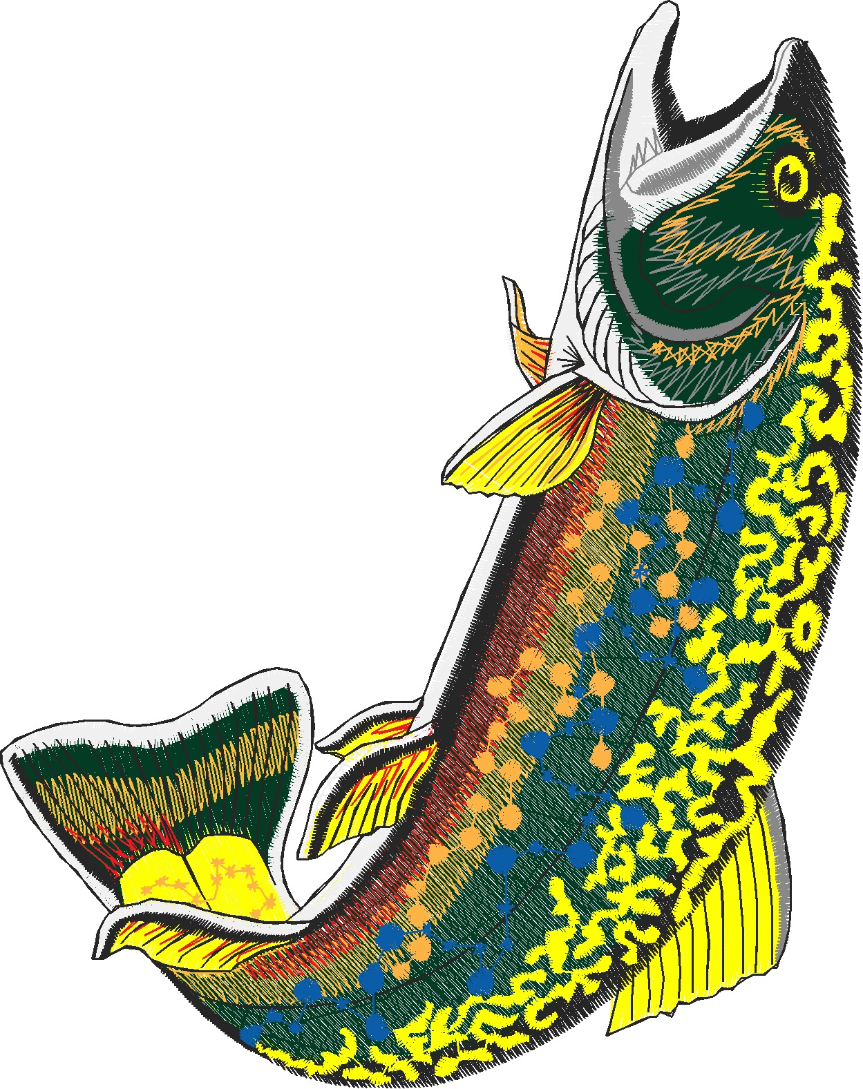 Jumbo   Fish 1  (2)