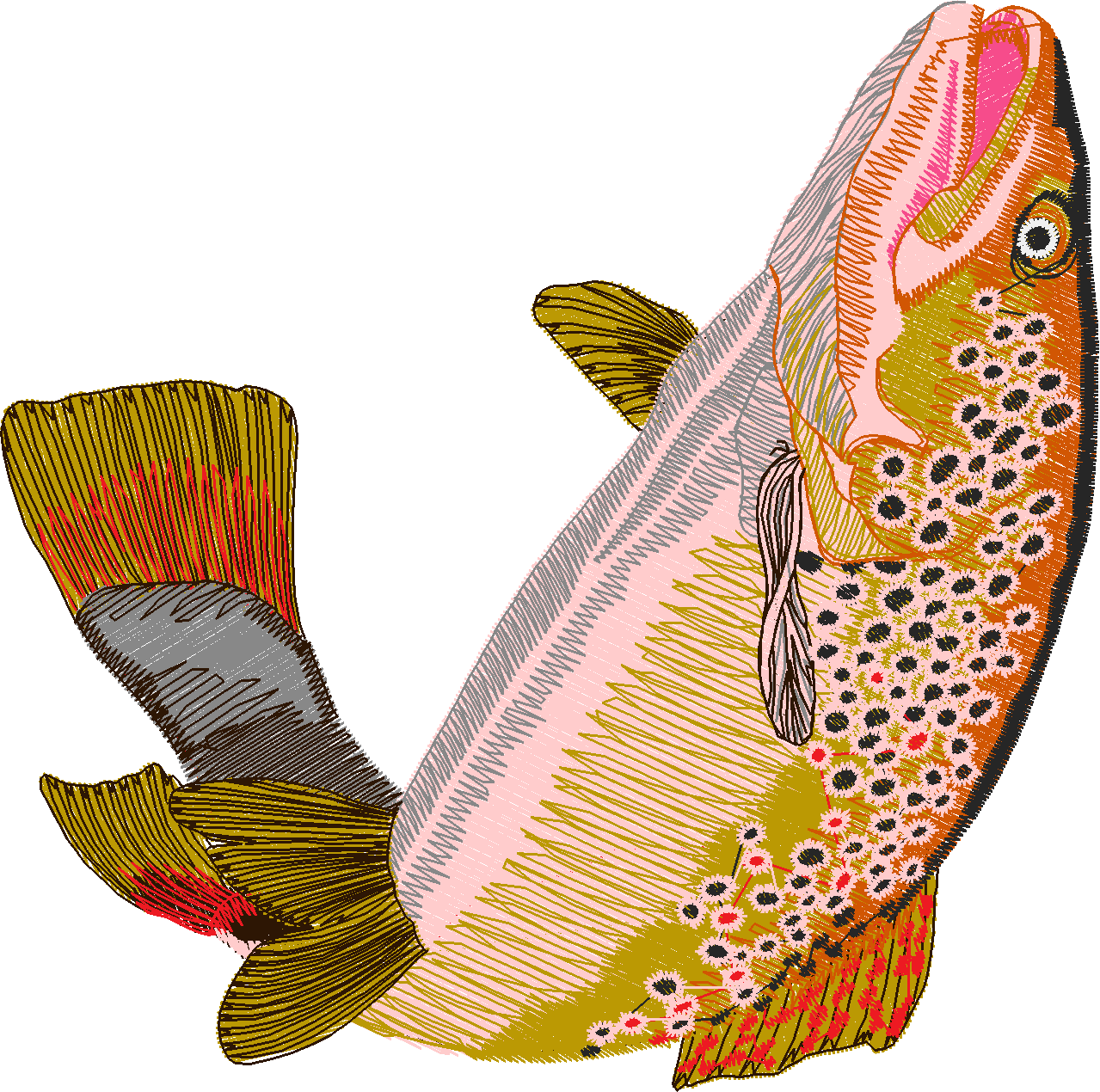 Jumbo   Fish 1  (5)