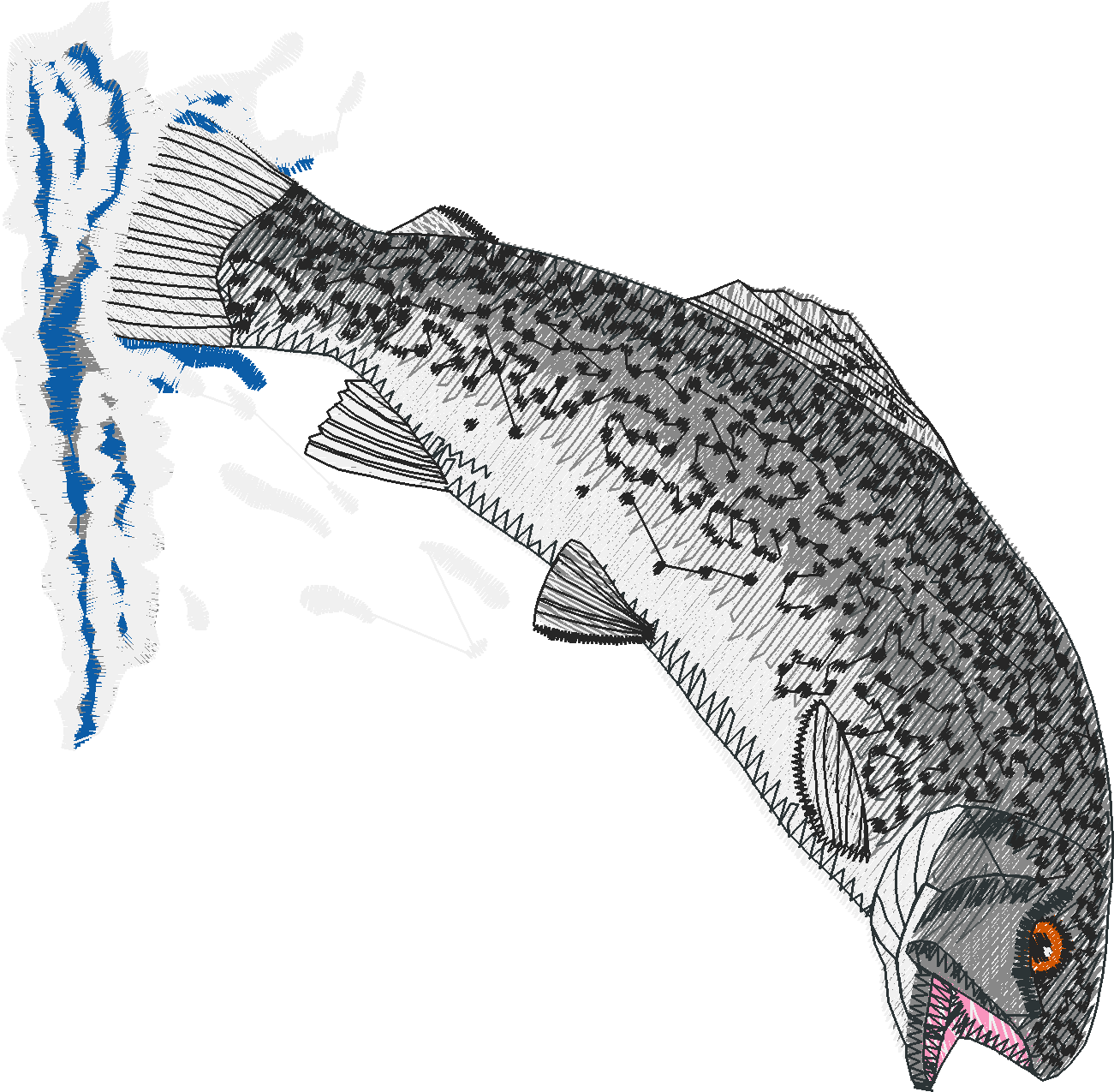 Jumbo   Fish 1  (6)