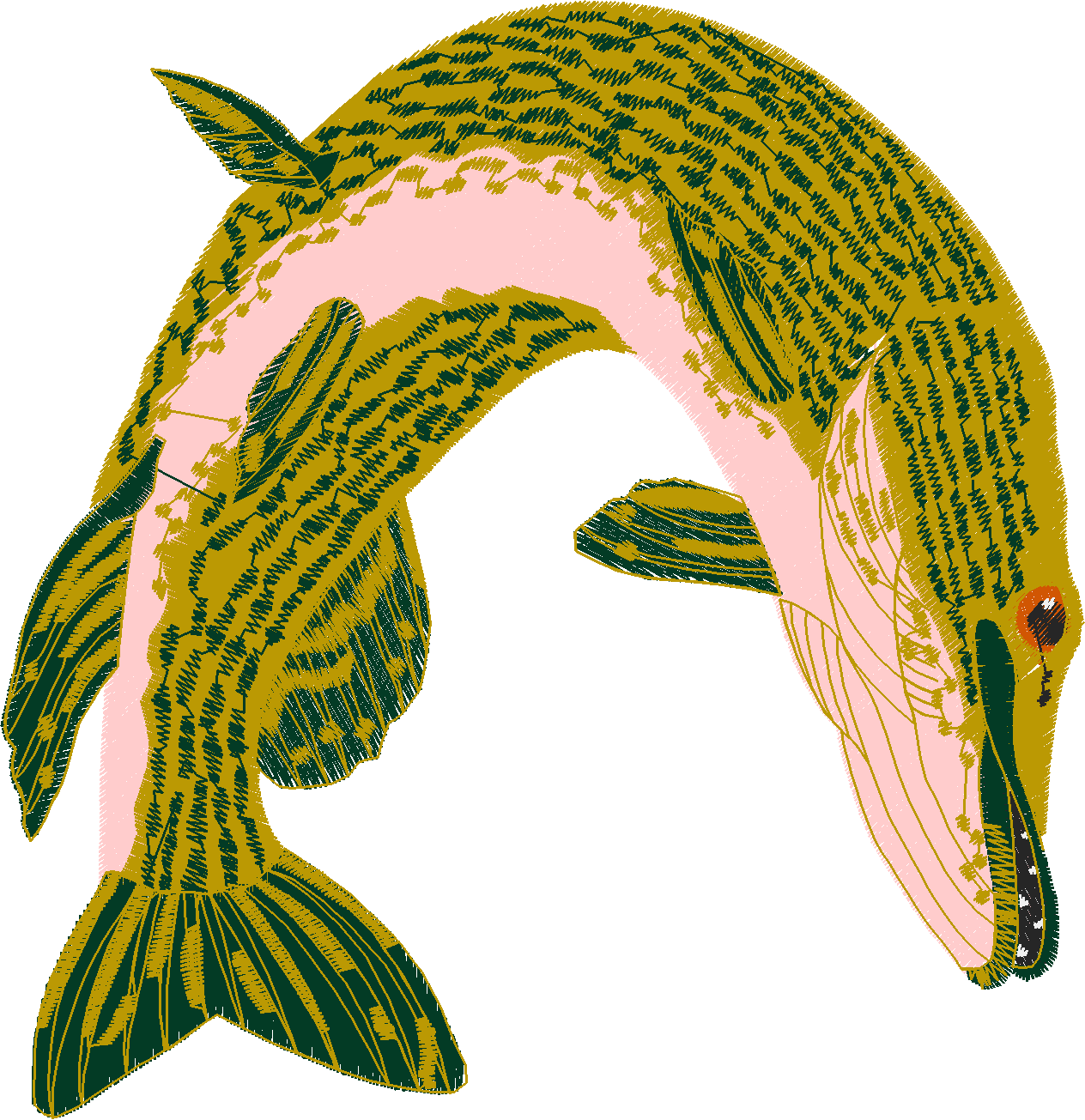 Jumbo   Fish 1  (7)