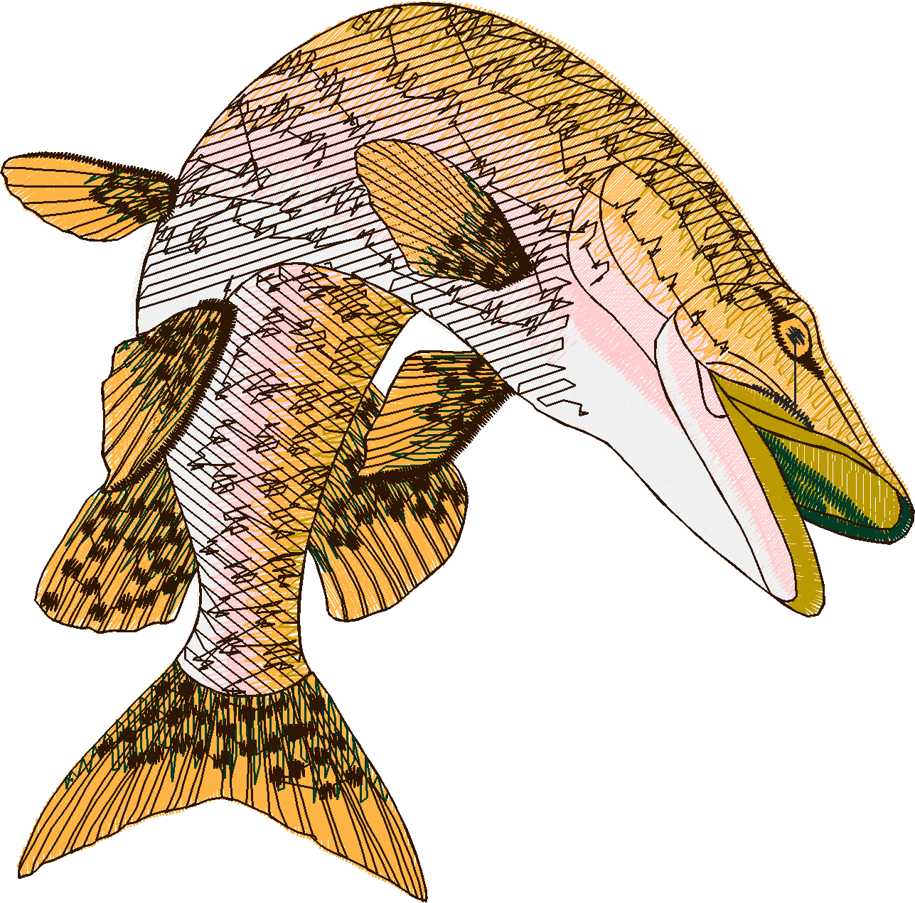 Jumbo   Fish 1  (9)