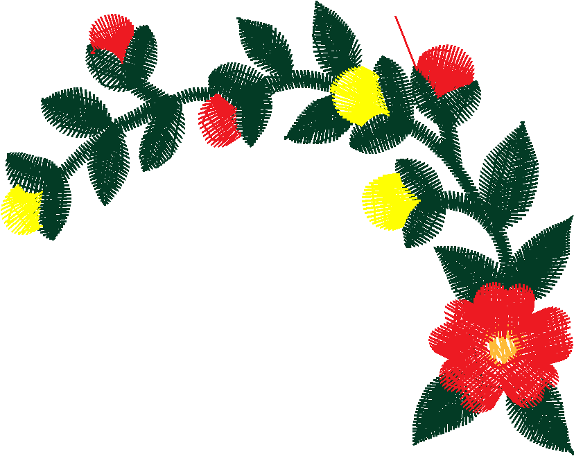 Jumbo   Floral 1  (17)