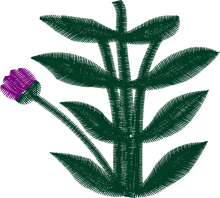 Jumbo   Floral 1  (9)