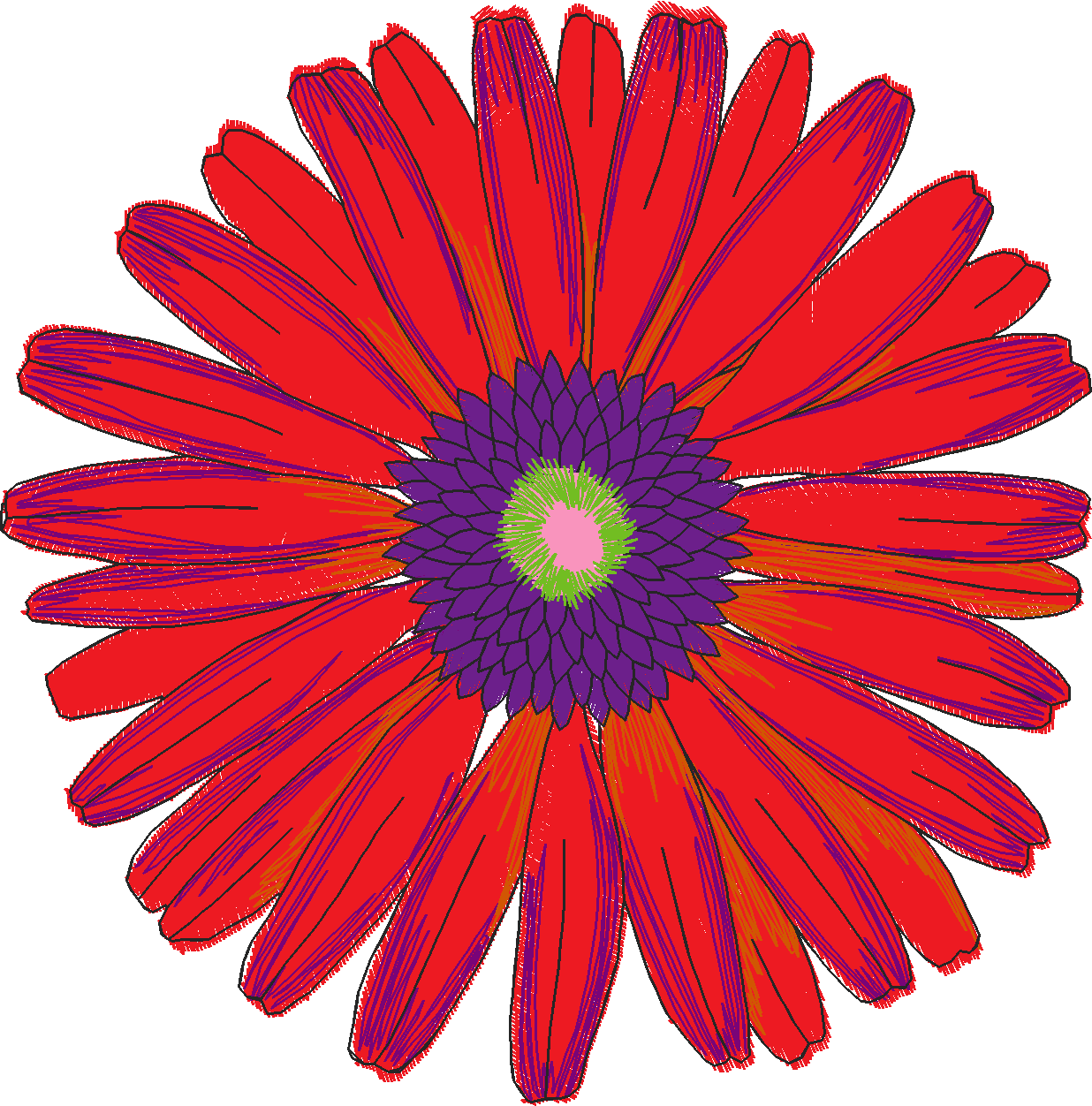 Jumbo   Flowers 1 (1)