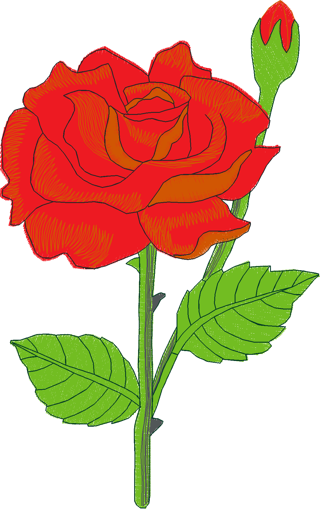 Jumbo   Flowers 1 (10)