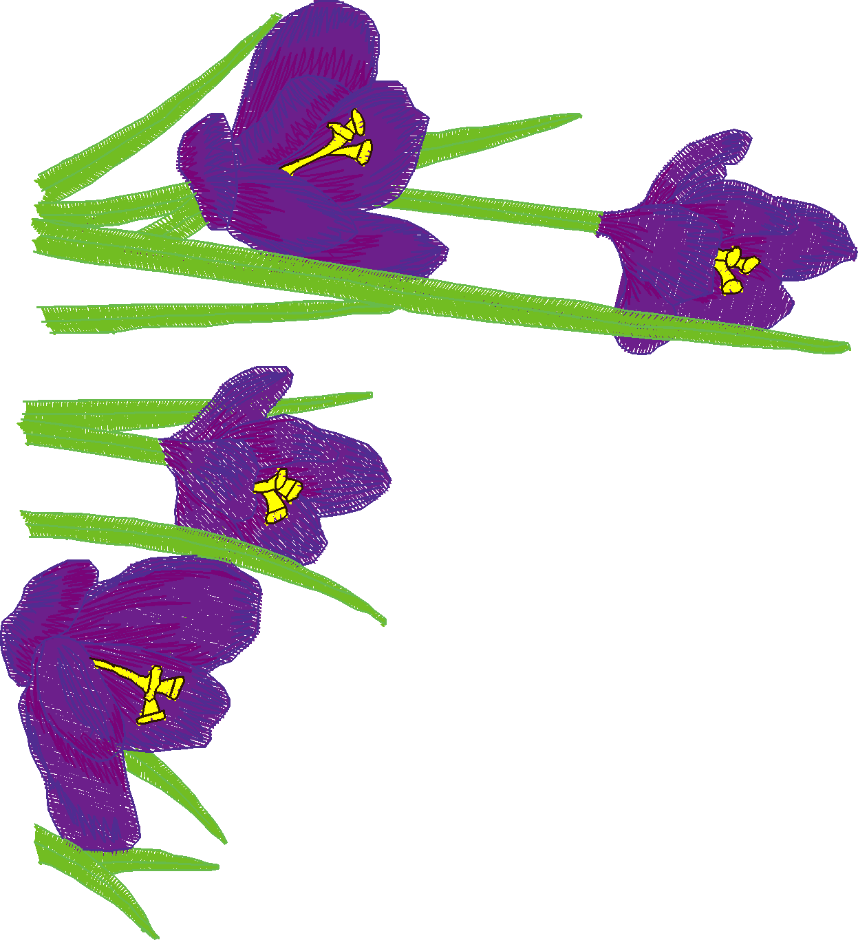 Jumbo   Flowers 1 (11)