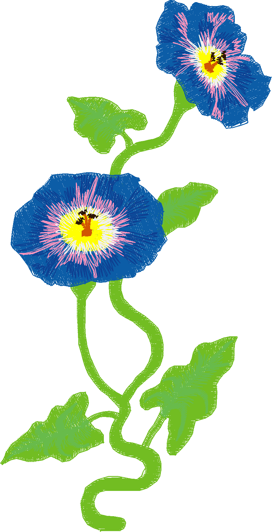 Jumbo   Flowers 1 (2)