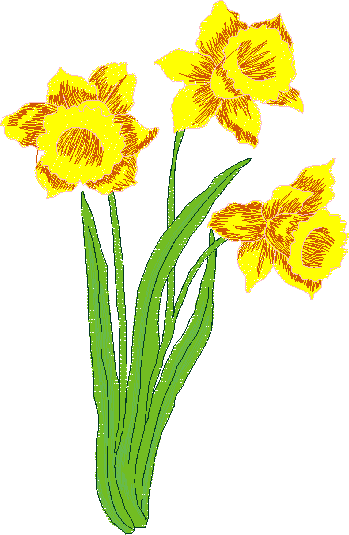 Jumbo   Flowers 1 (3)