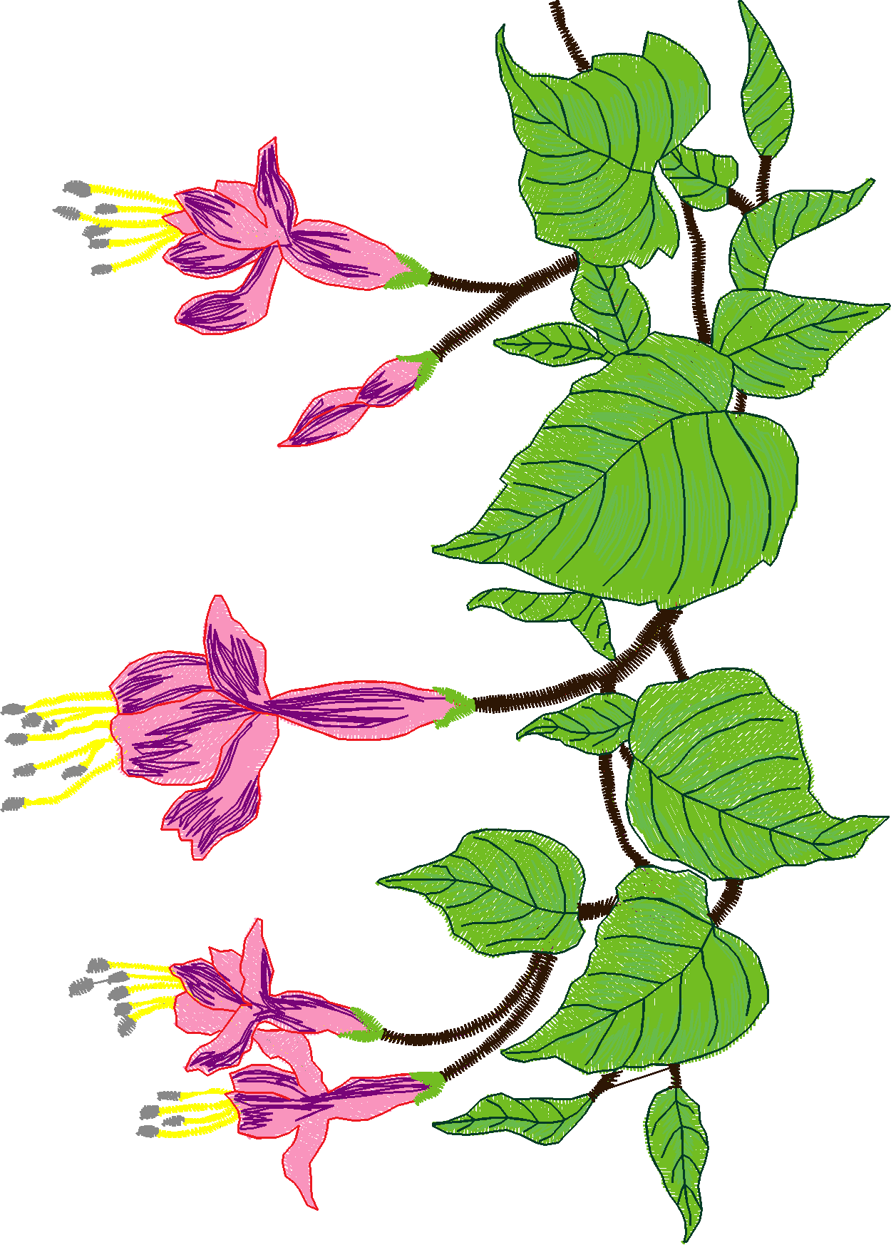 Jumbo   Flowers 1 (4)