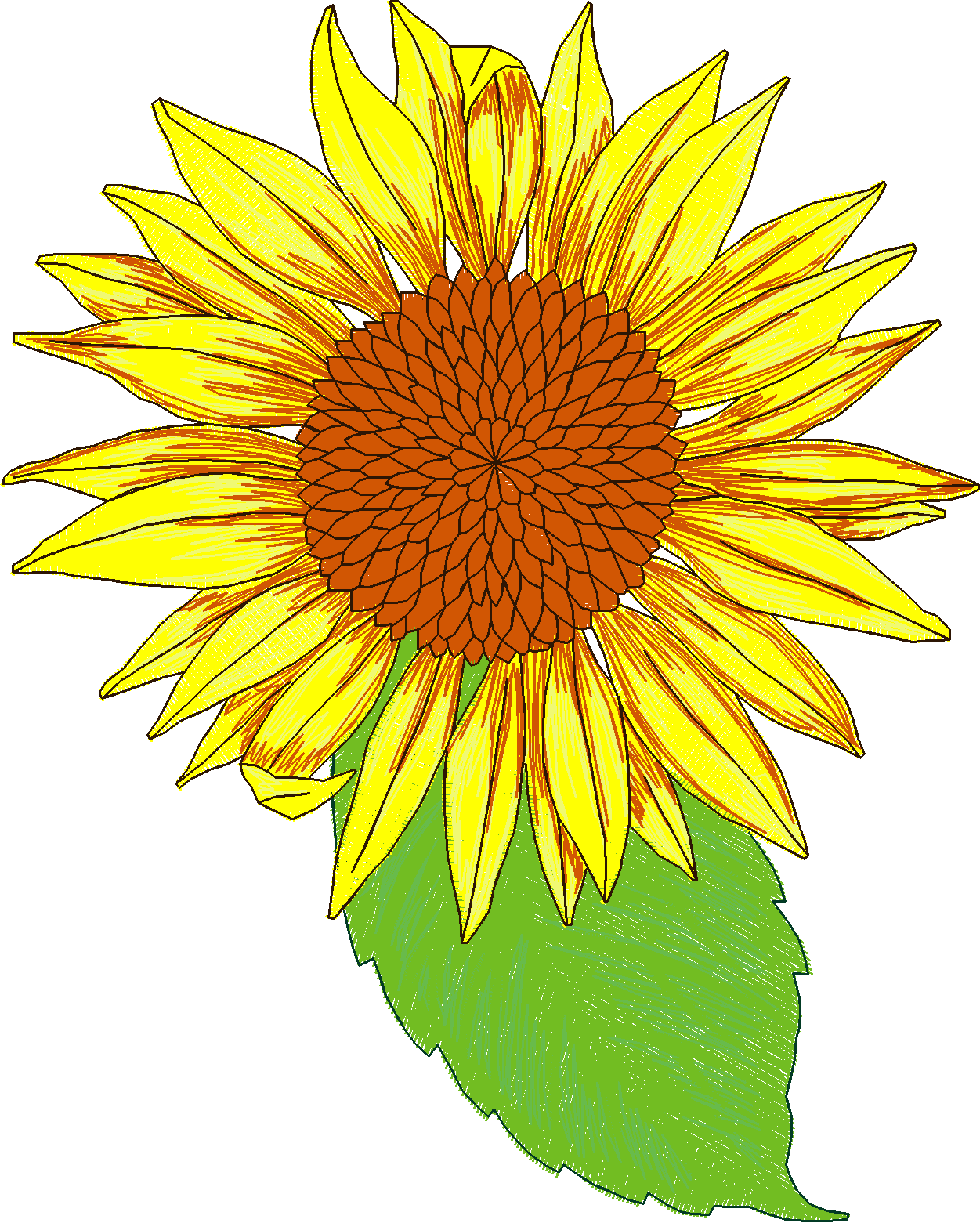 Jumbo   Flowers 1 (5)