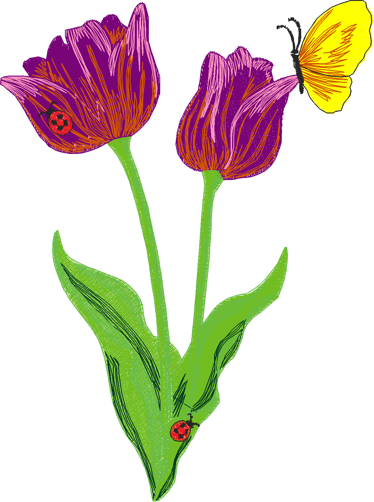 Jumbo   Flowers 1 (7)