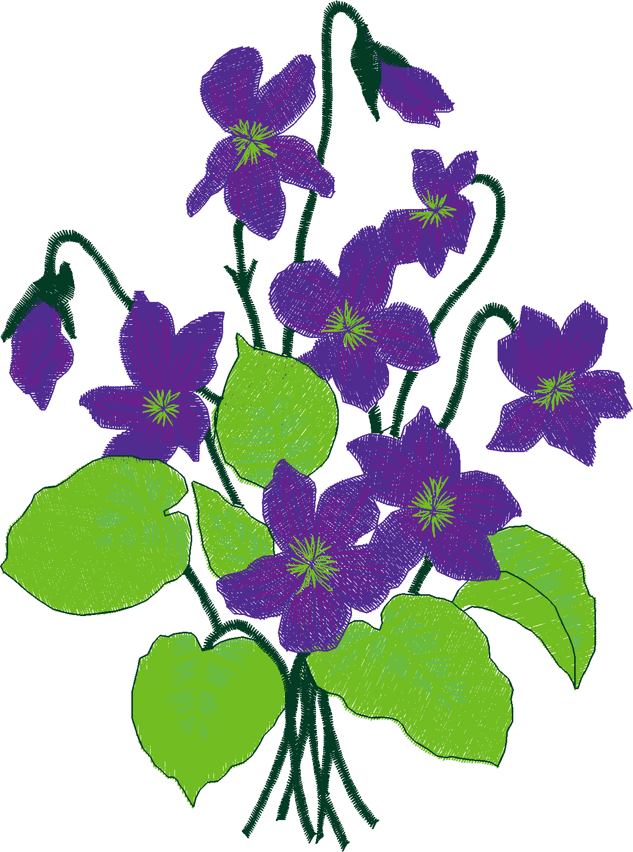 Jumbo   Flowers 1 (9)