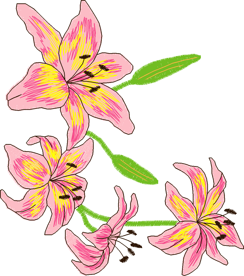 Jumbo    Flowers 2  (1)