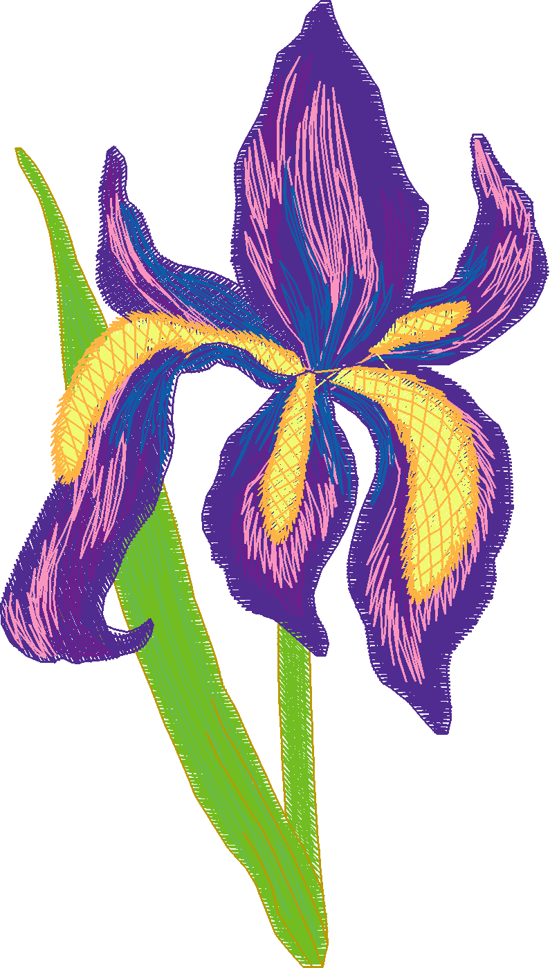 Jumbo    Flowers 2  (10)