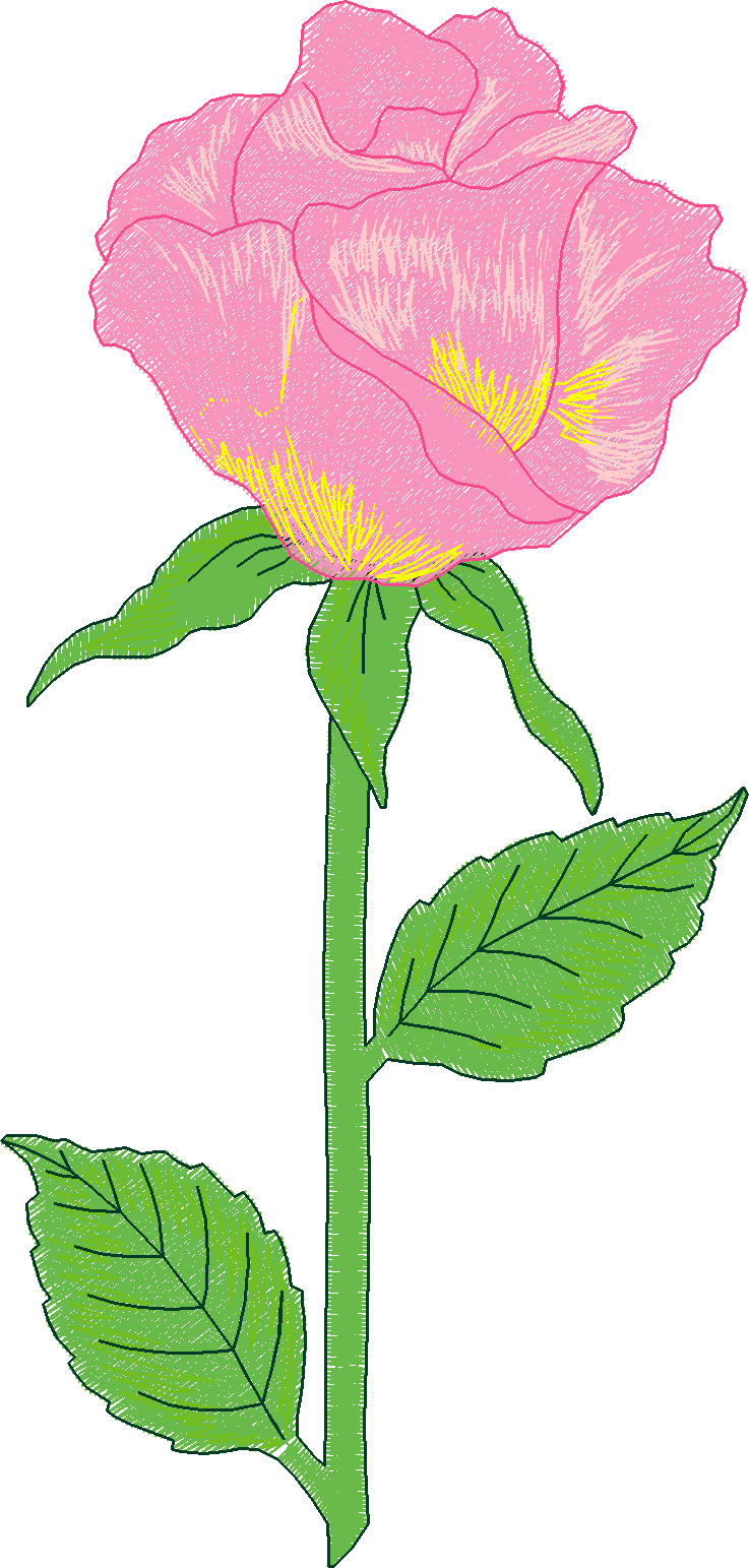 Jumbo    Flowers 2  (3)