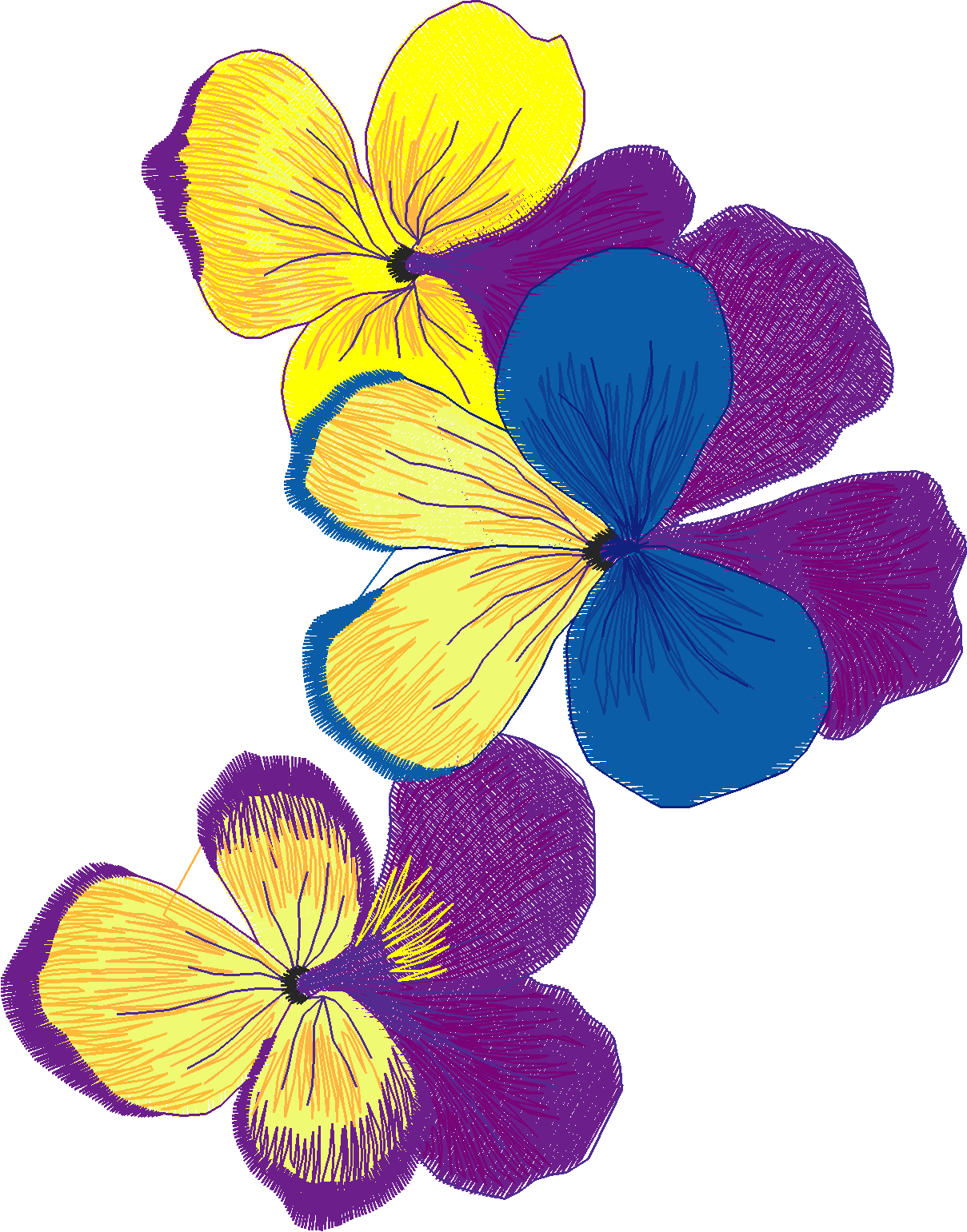 Jumbo    Flowers 2  (4)