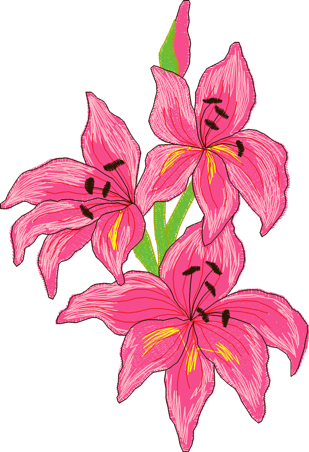 Jumbo    Flowers 2  (7)