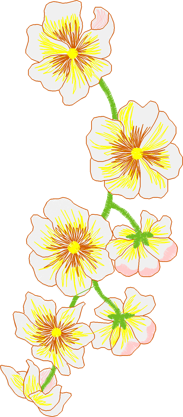 Jumbo    Flowers 2  (8)