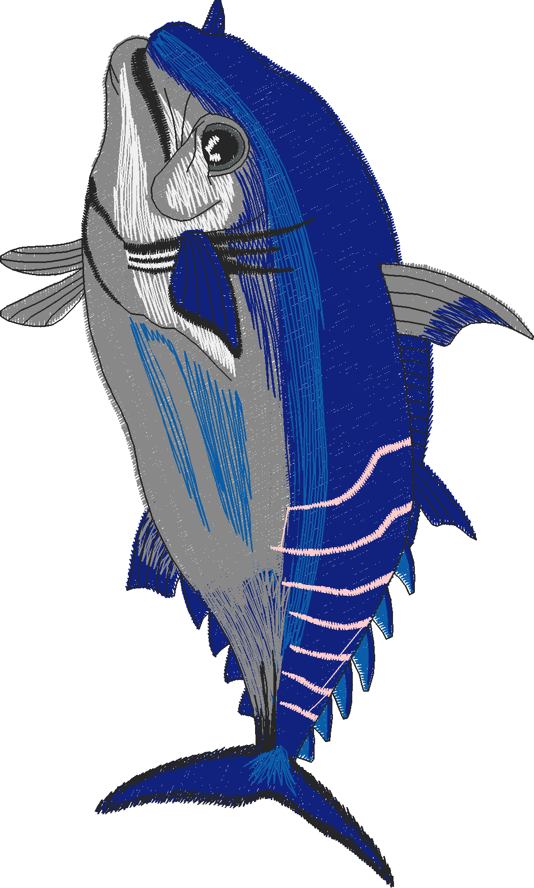 Jumbo   Game Fish 1  (12)