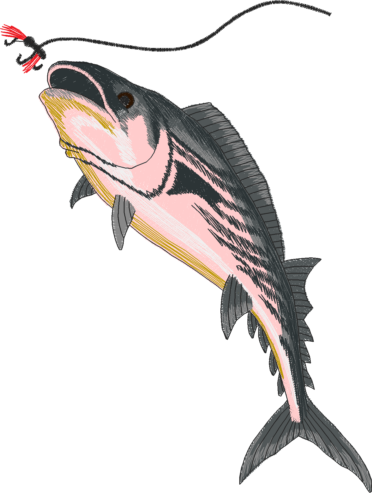 Jumbo   Game Fish 1  (13)