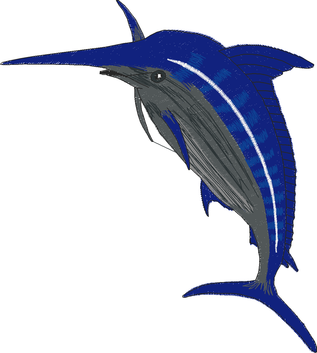 Jumbo   Game Fish 1  (5)