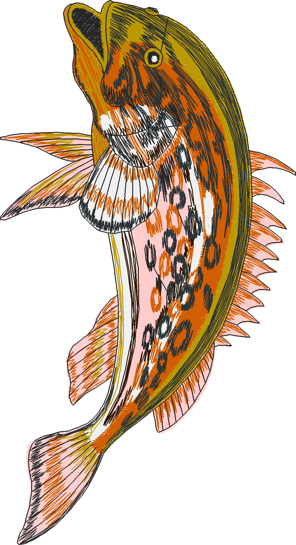 Jumbo   Game Fish 1  (6)