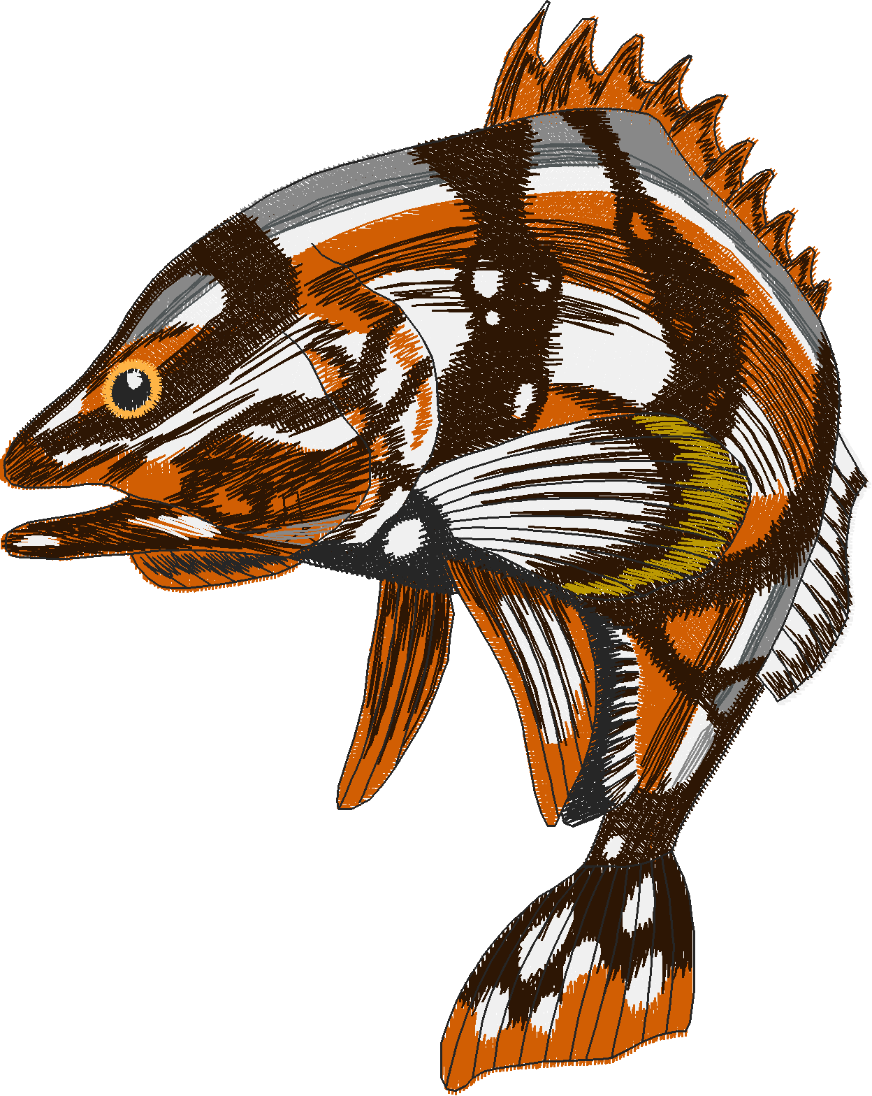 Jumbo   Game Fish 1  (9)