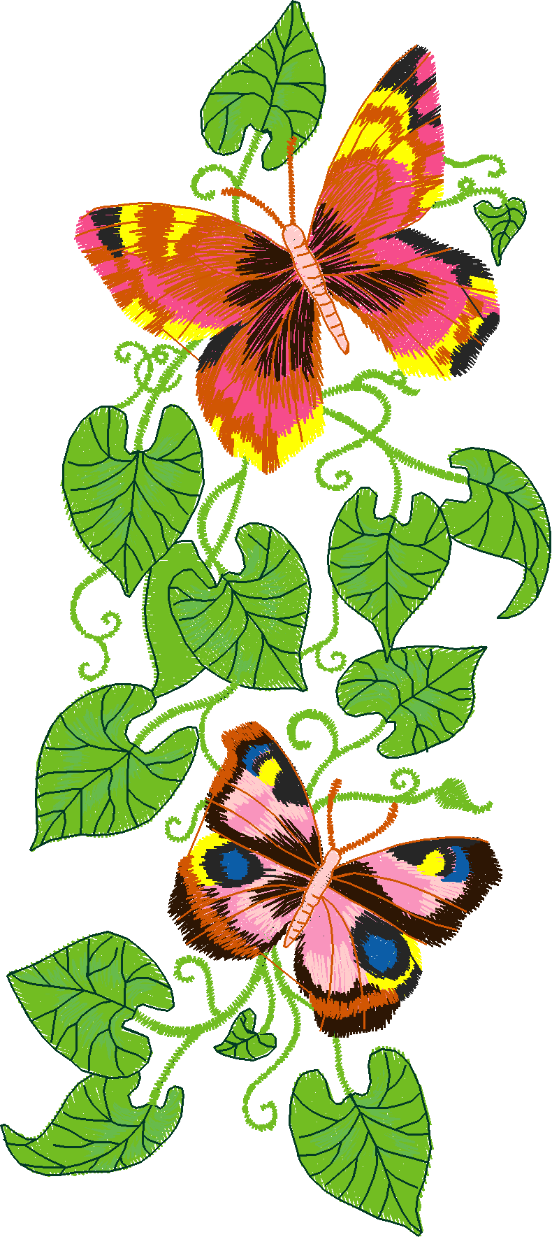 Jumbo   Garden 1  (10)