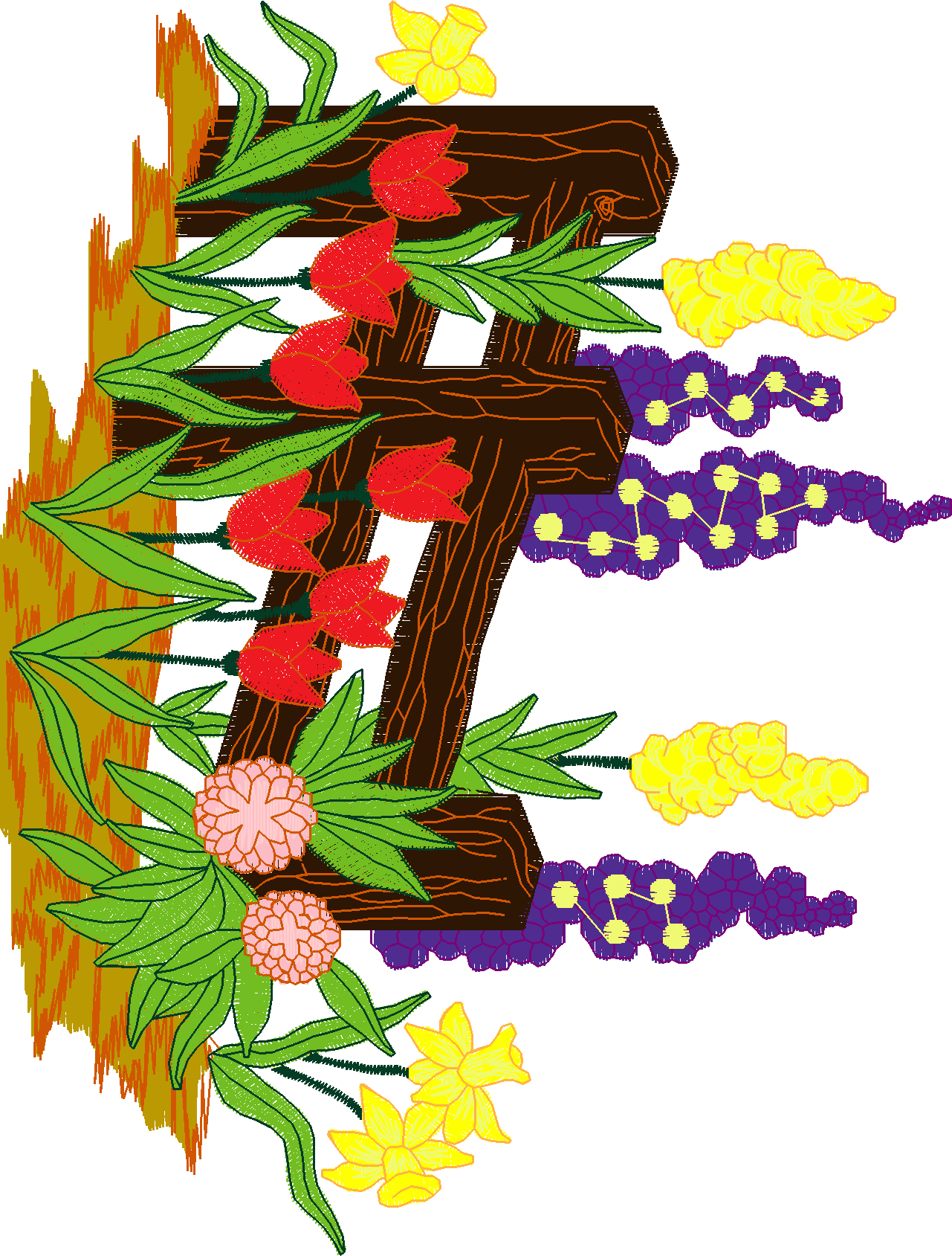 Jumbo   Garden 1  (8)