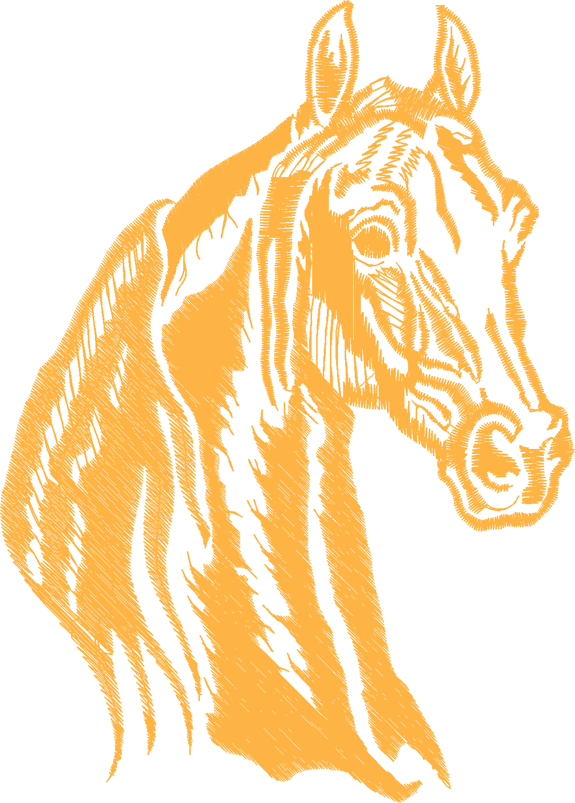 Jumbo   Horses 1  (2)