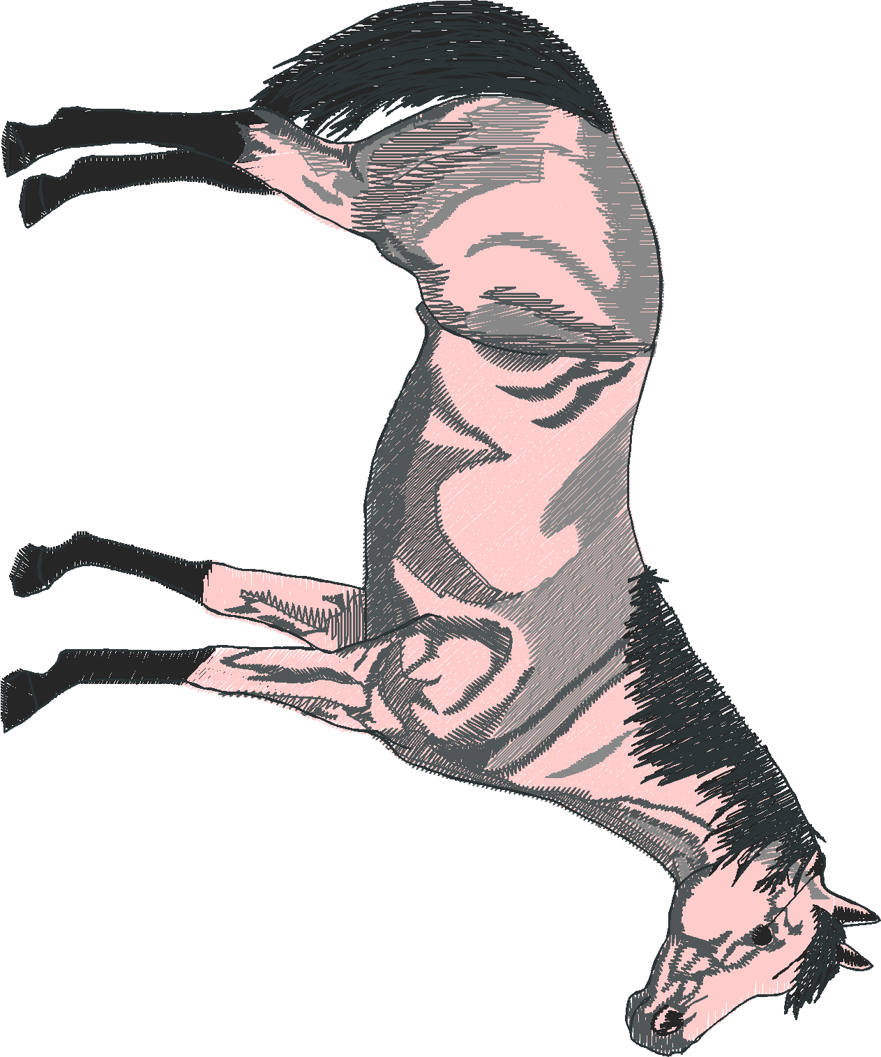 Jumbo   Horses 1  (9)