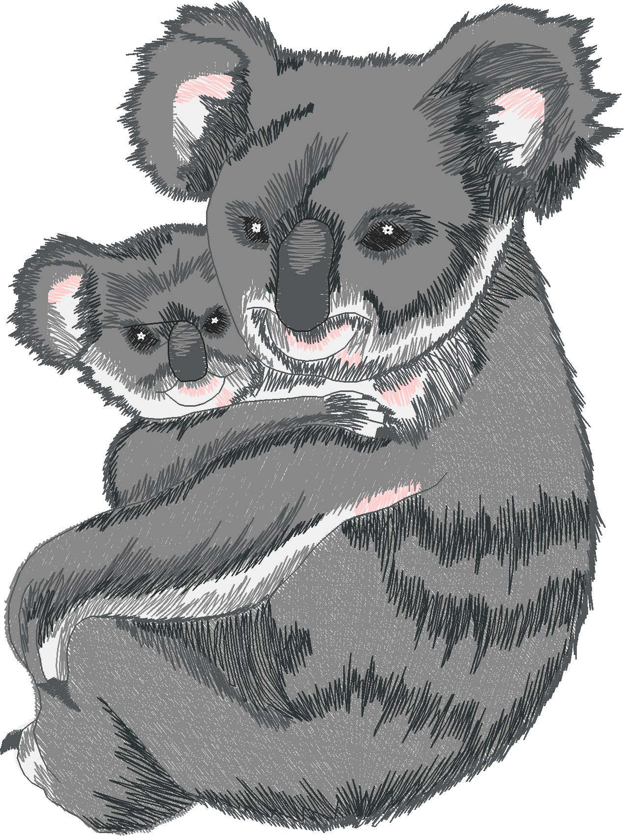 Jumbo   Pandas & Koalas 1  (6)