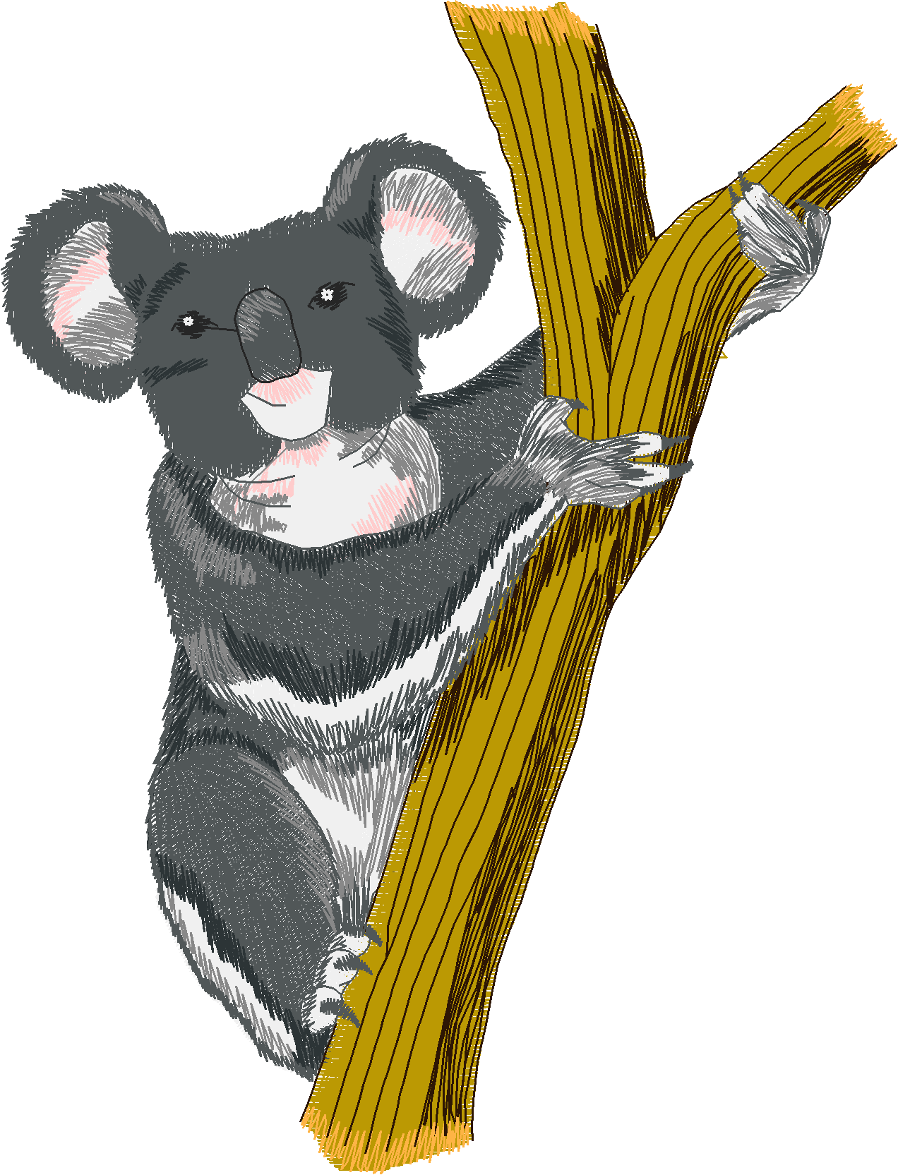 Jumbo   Pandas 1  (5)