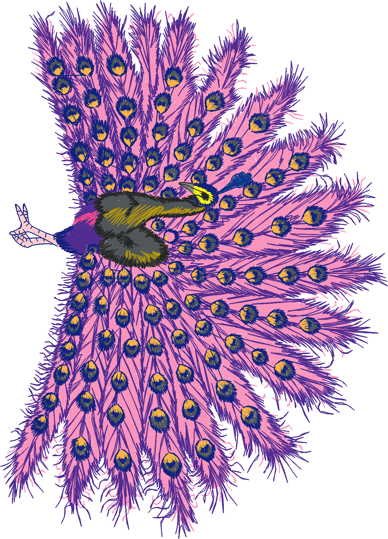 Jumbo   Peacocks 1  (11)