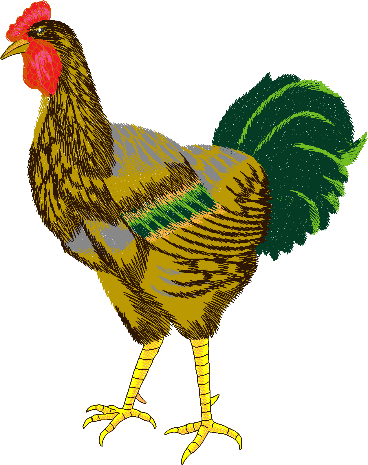 Jumbo   Rooster 1  (13)