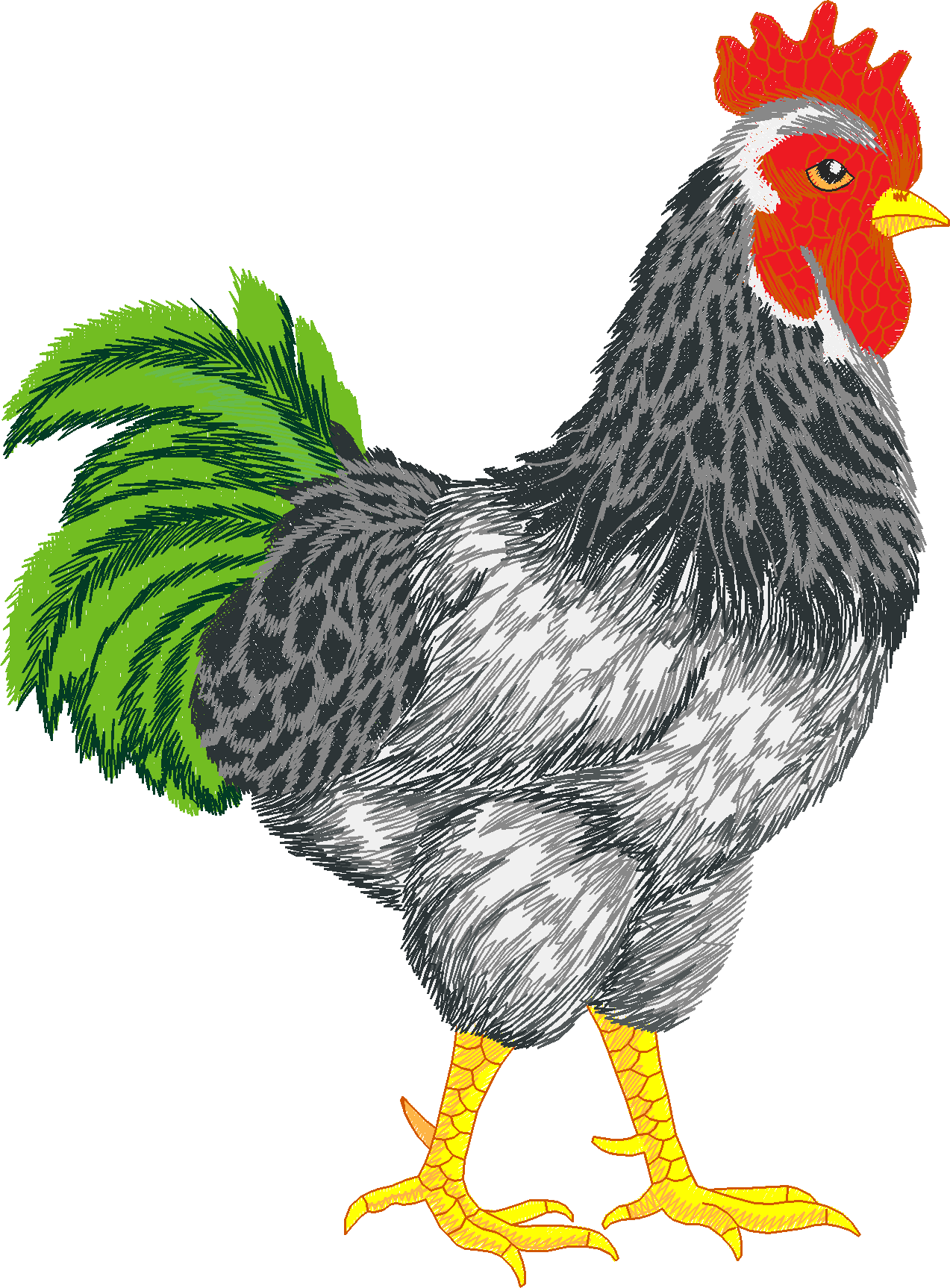 Jumbo   Rooster 1  (2)