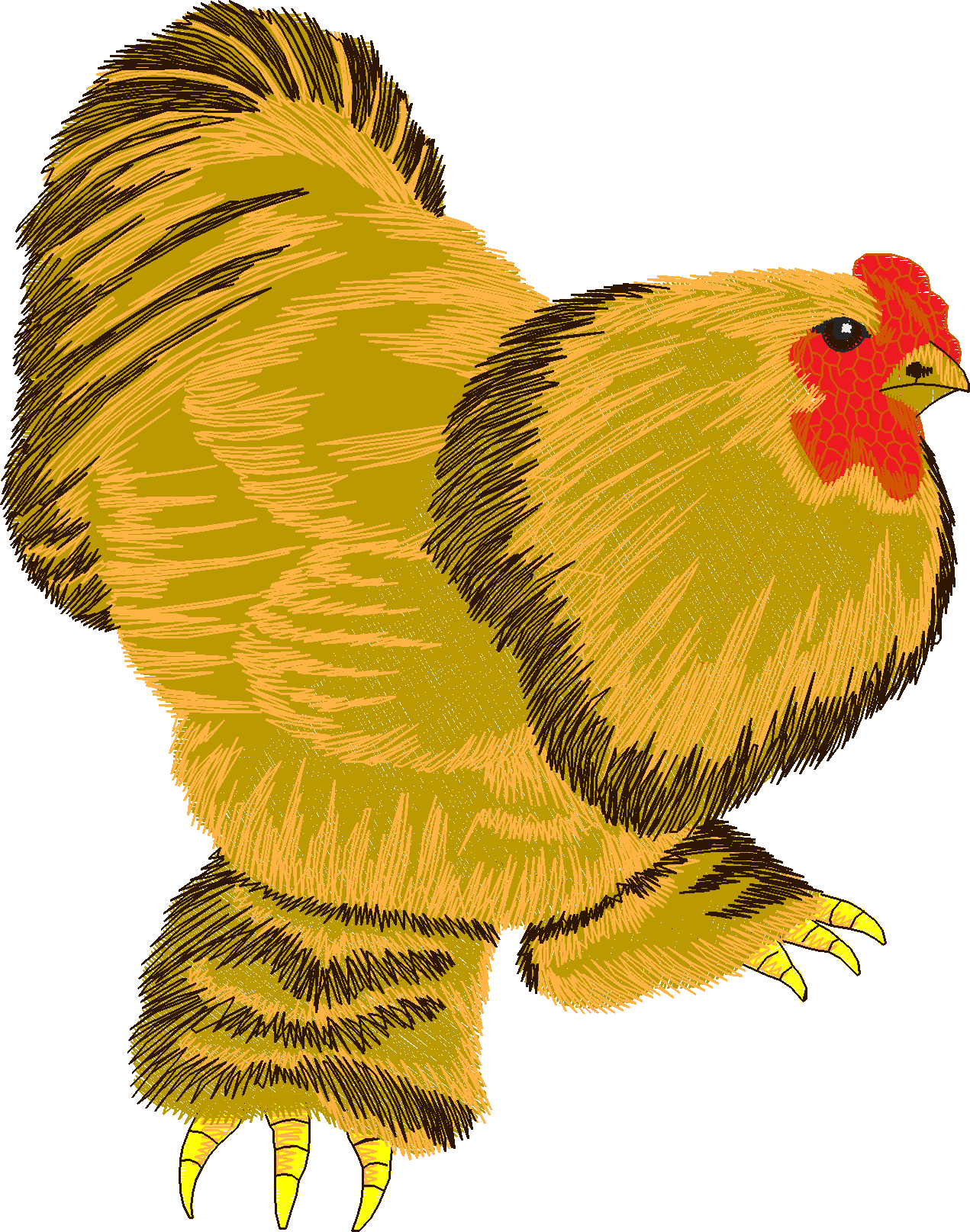 Jumbo   Rooster 1  (4)