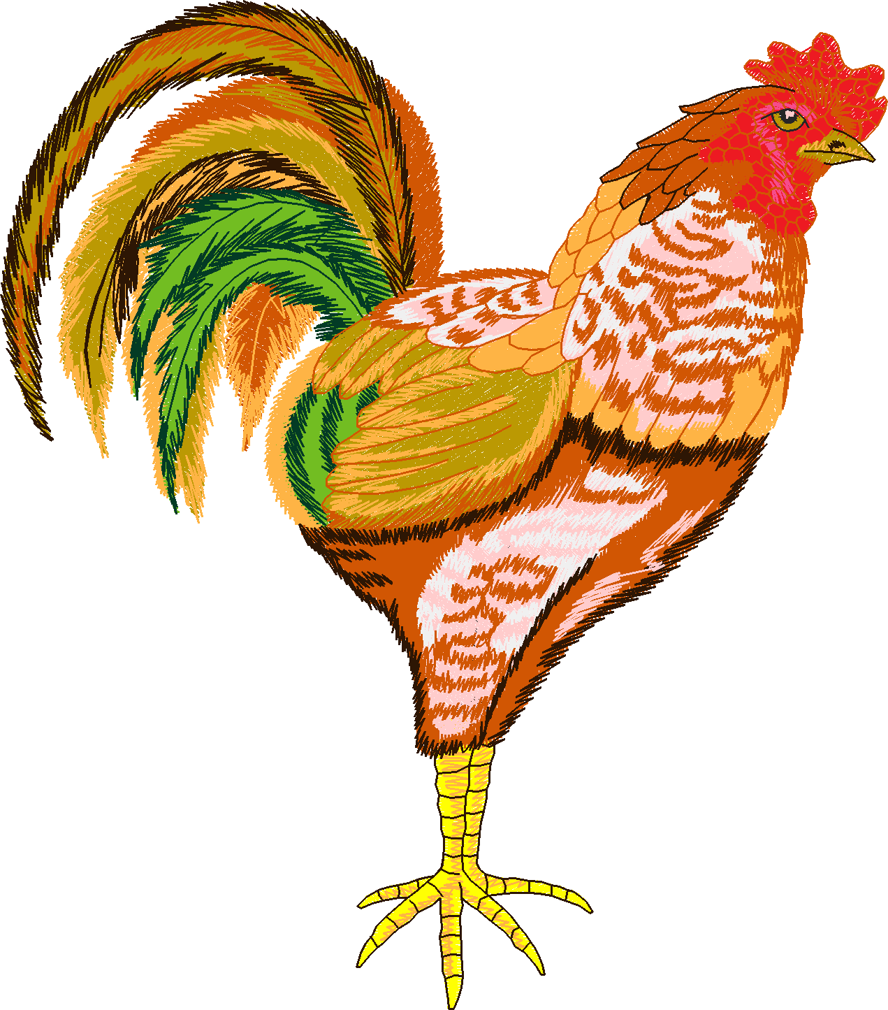 Jumbo   Rooster 1  (6)