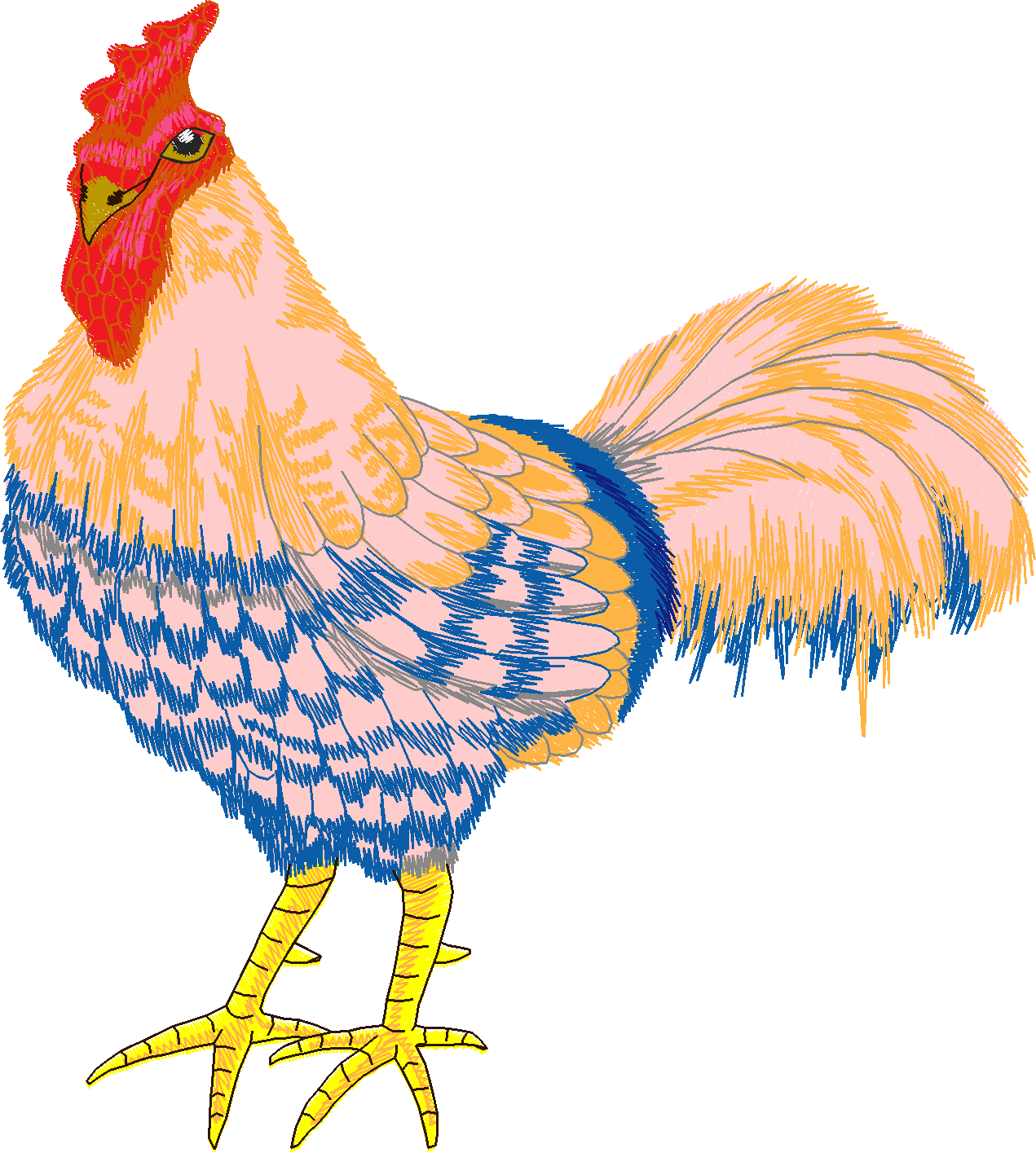 Jumbo   Rooster 1  (8)
