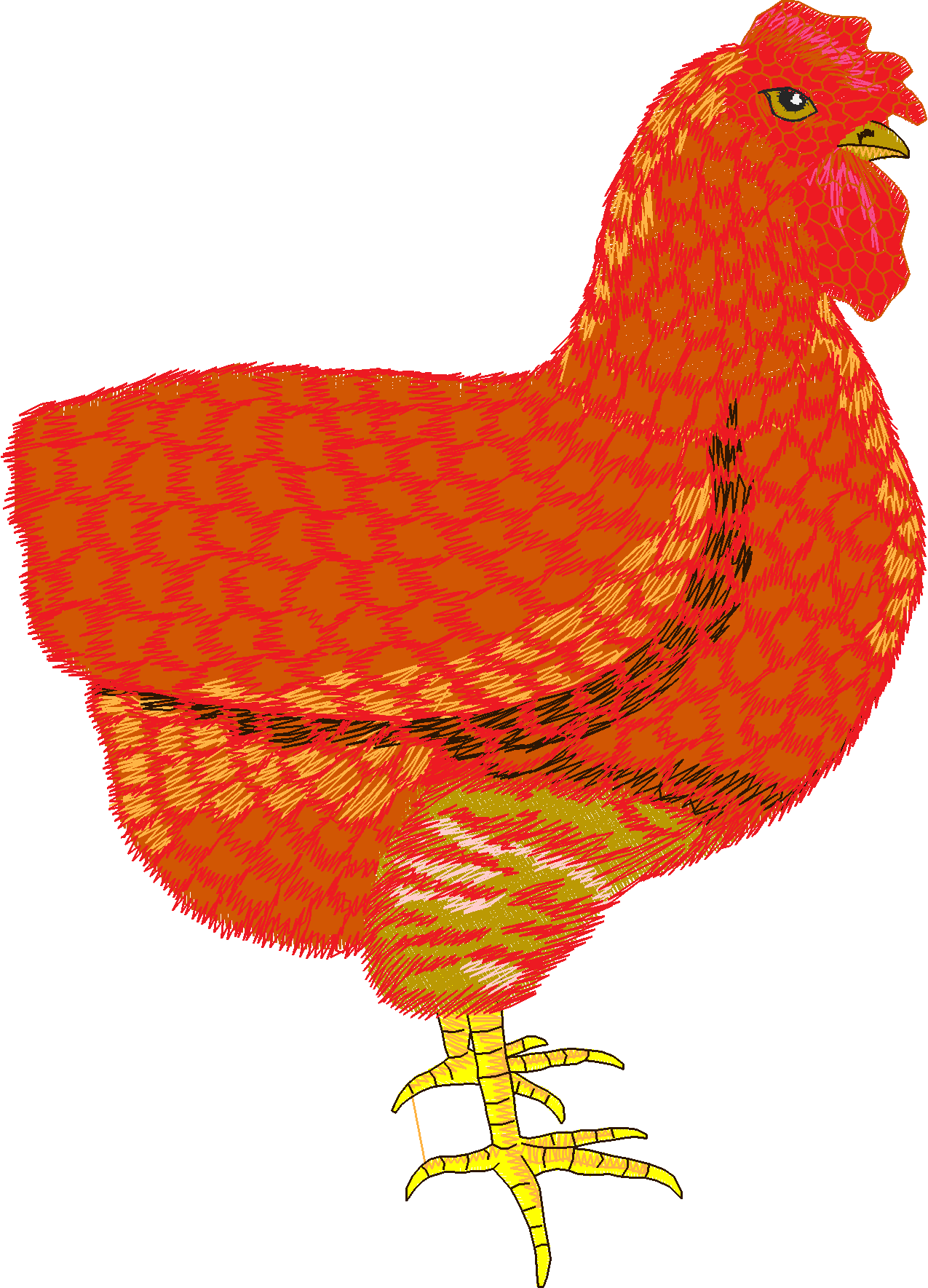 Jumbo   Rooster 1  (9)