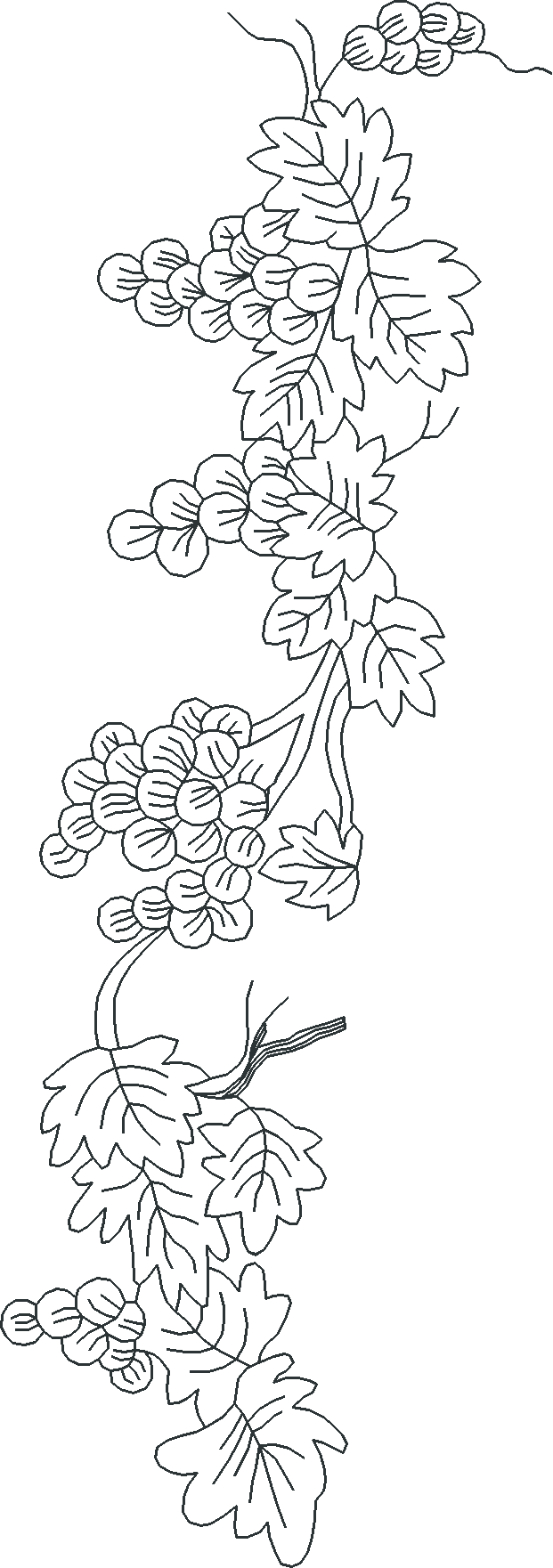 Jumbo   Toile 1  (1)