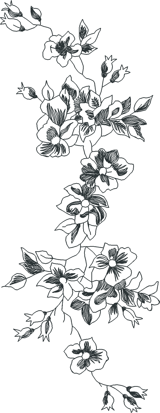 Jumbo   Toile 1  (13)
