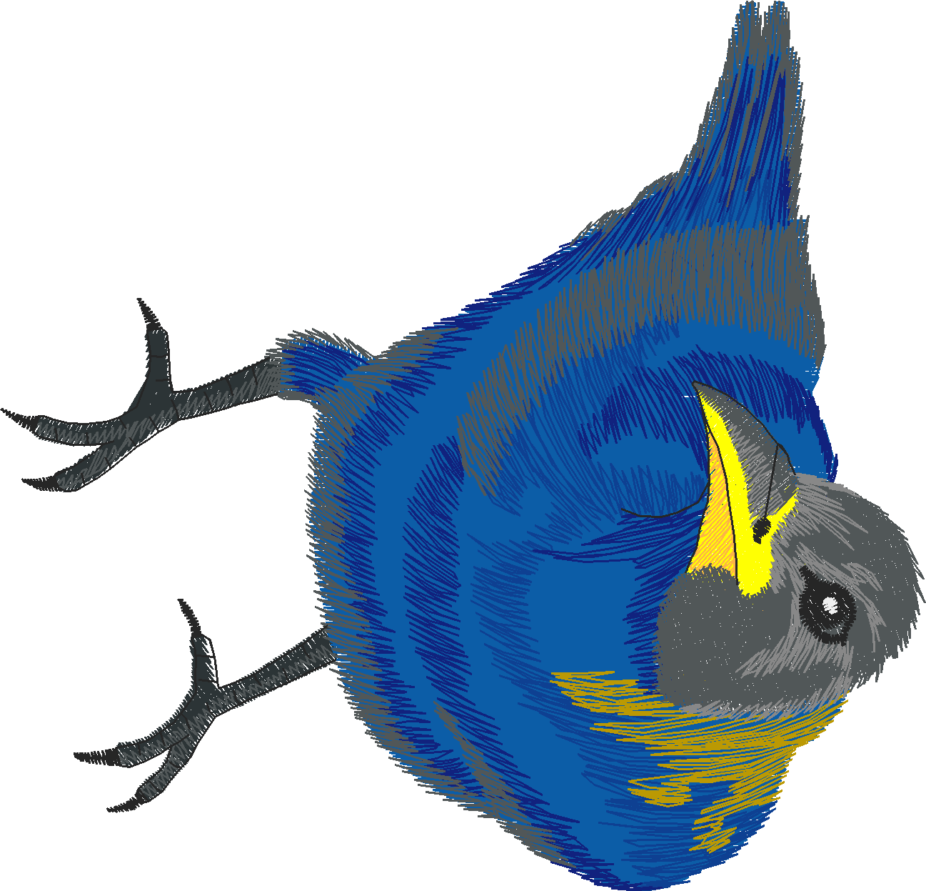 Jumbo   Tropical Birds 1  (1)