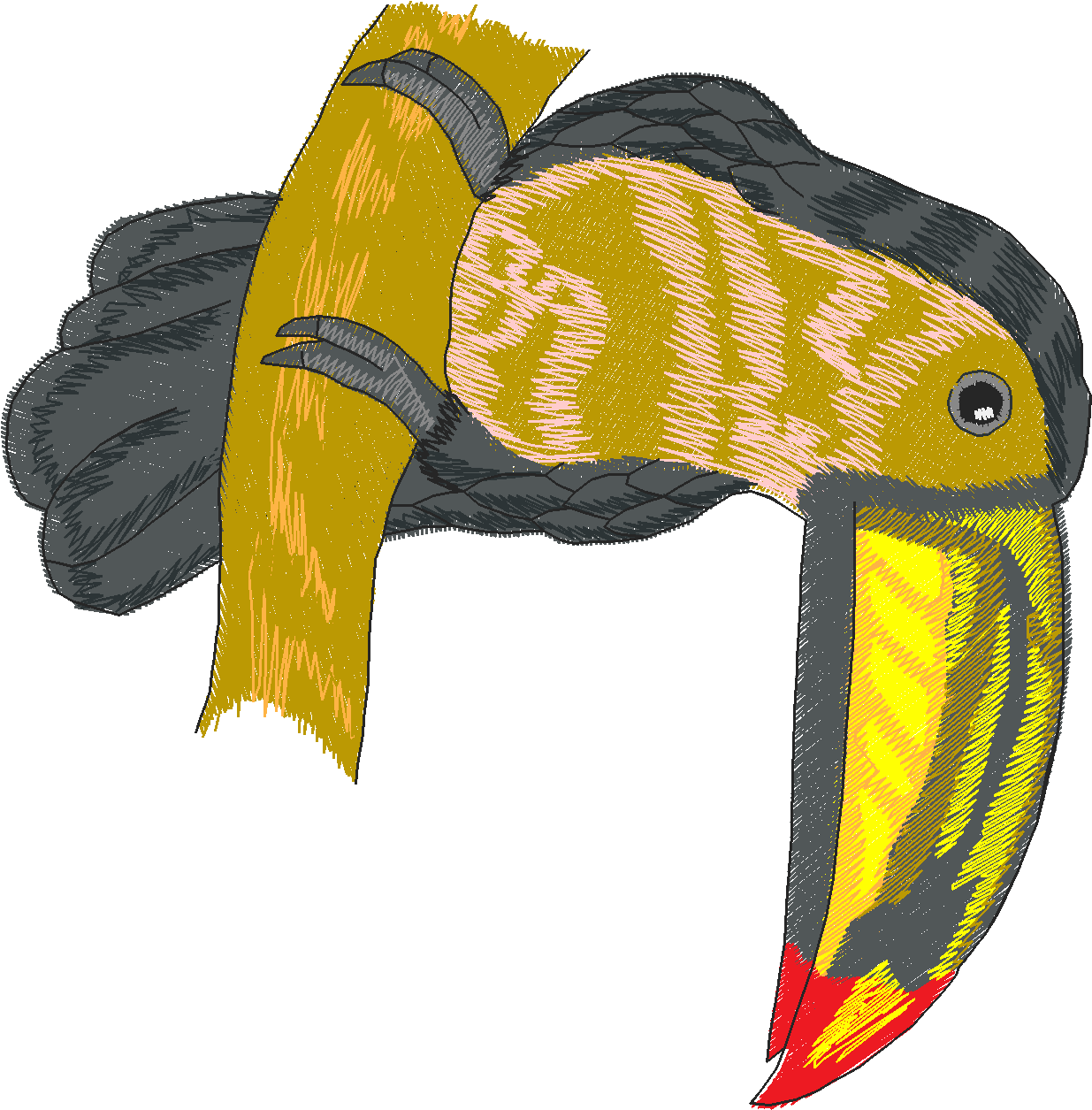 Jumbo   Tropical Birds 1  (10)