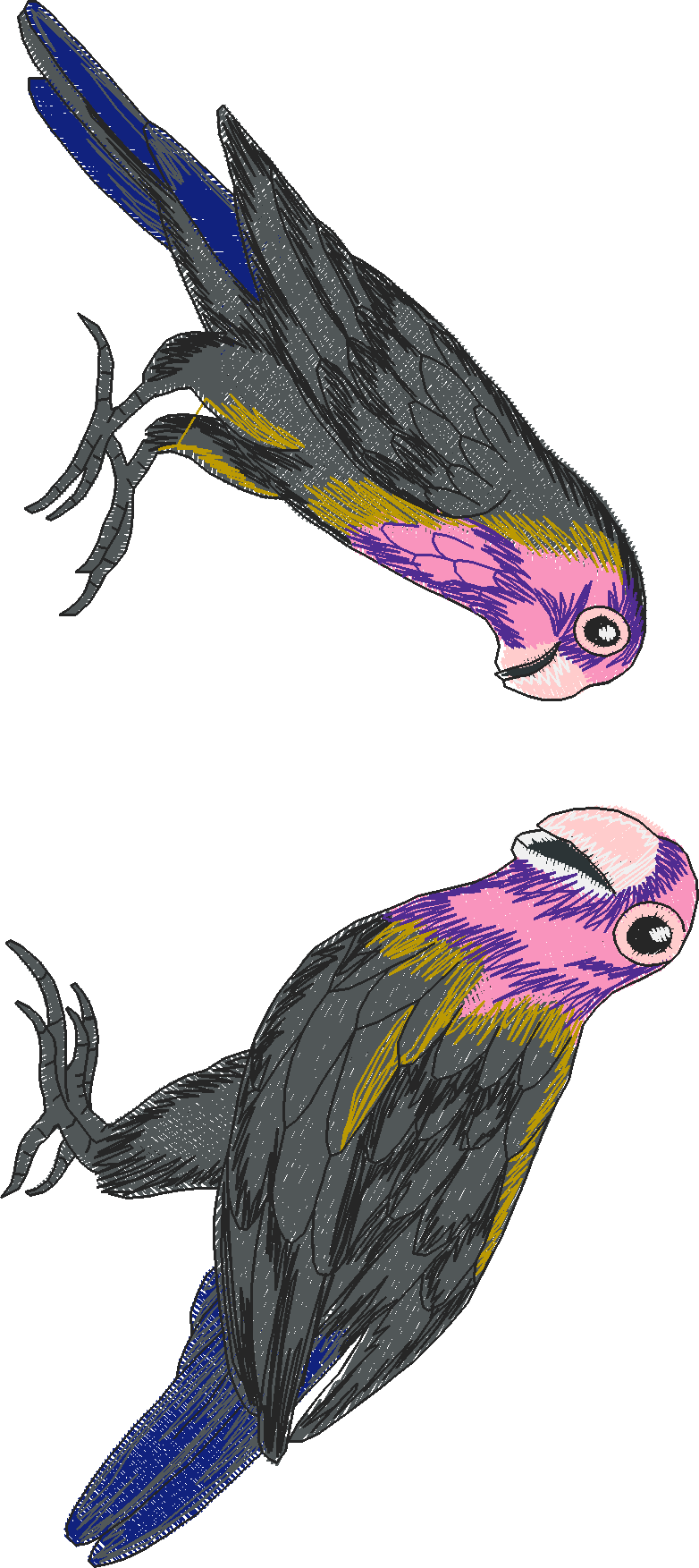 Jumbo   Tropical Birds 1  (11)