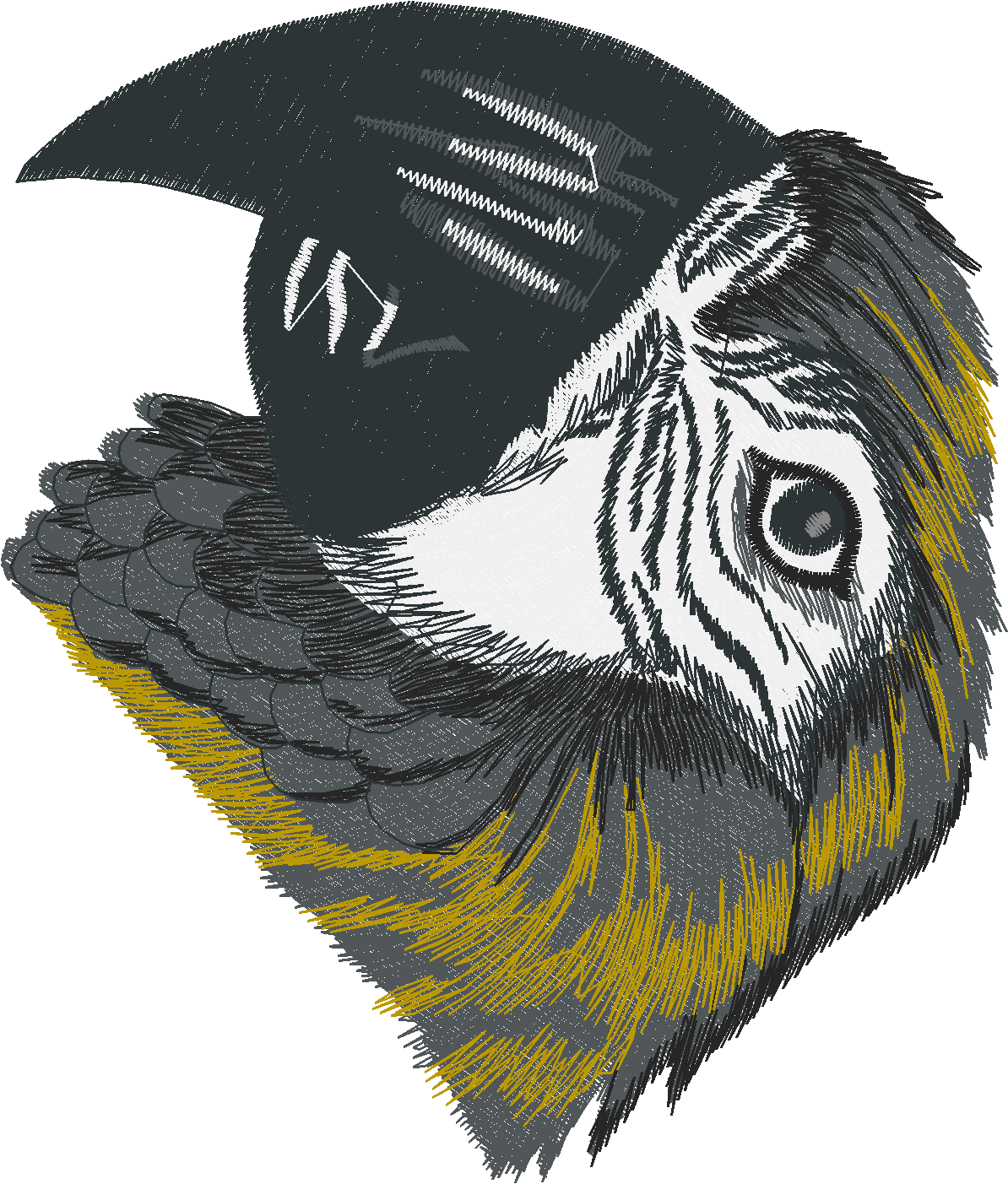 Jumbo   Tropical Birds 1  (2)