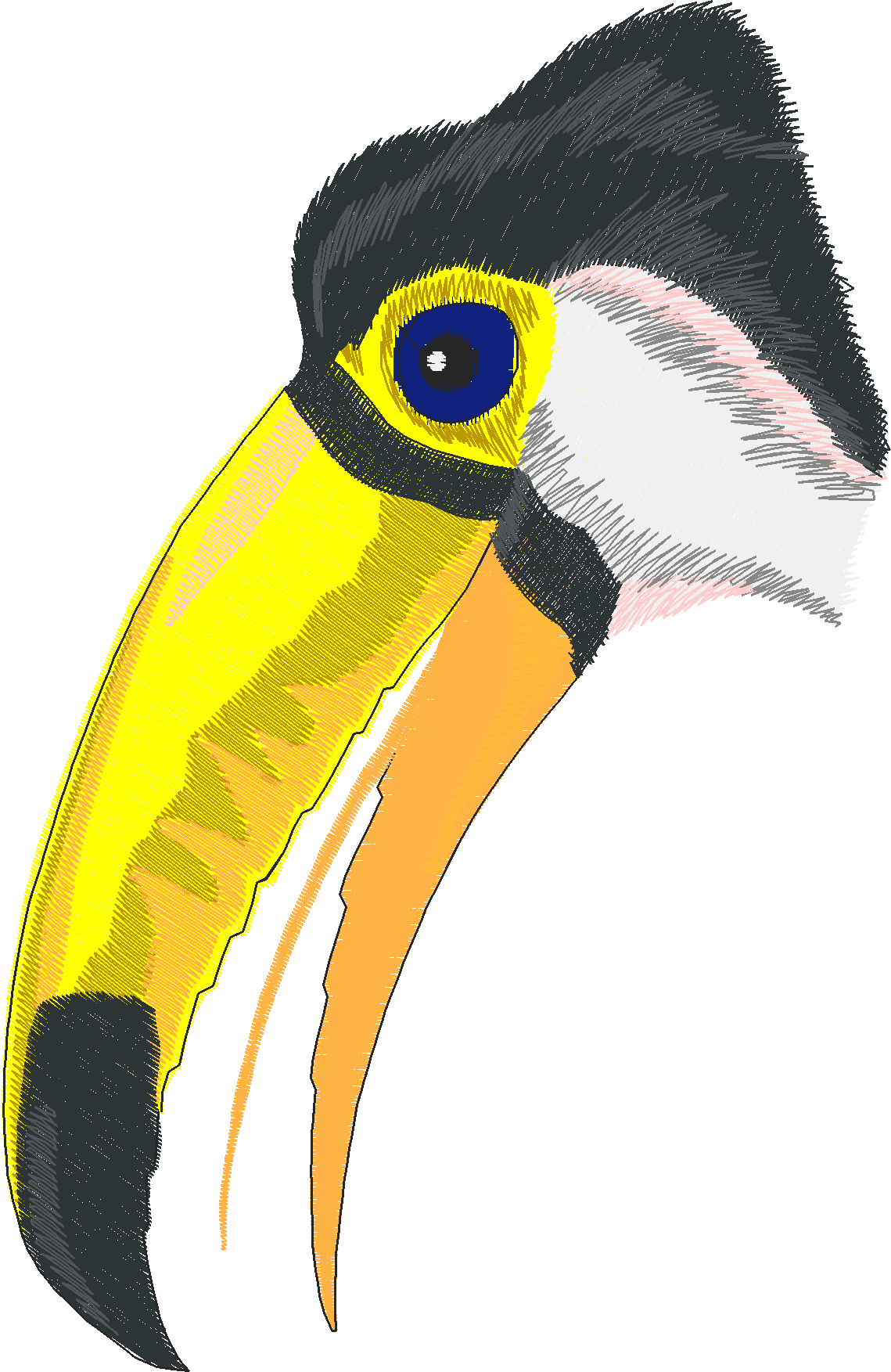 Jumbo   Tropical Birds 1  (3)