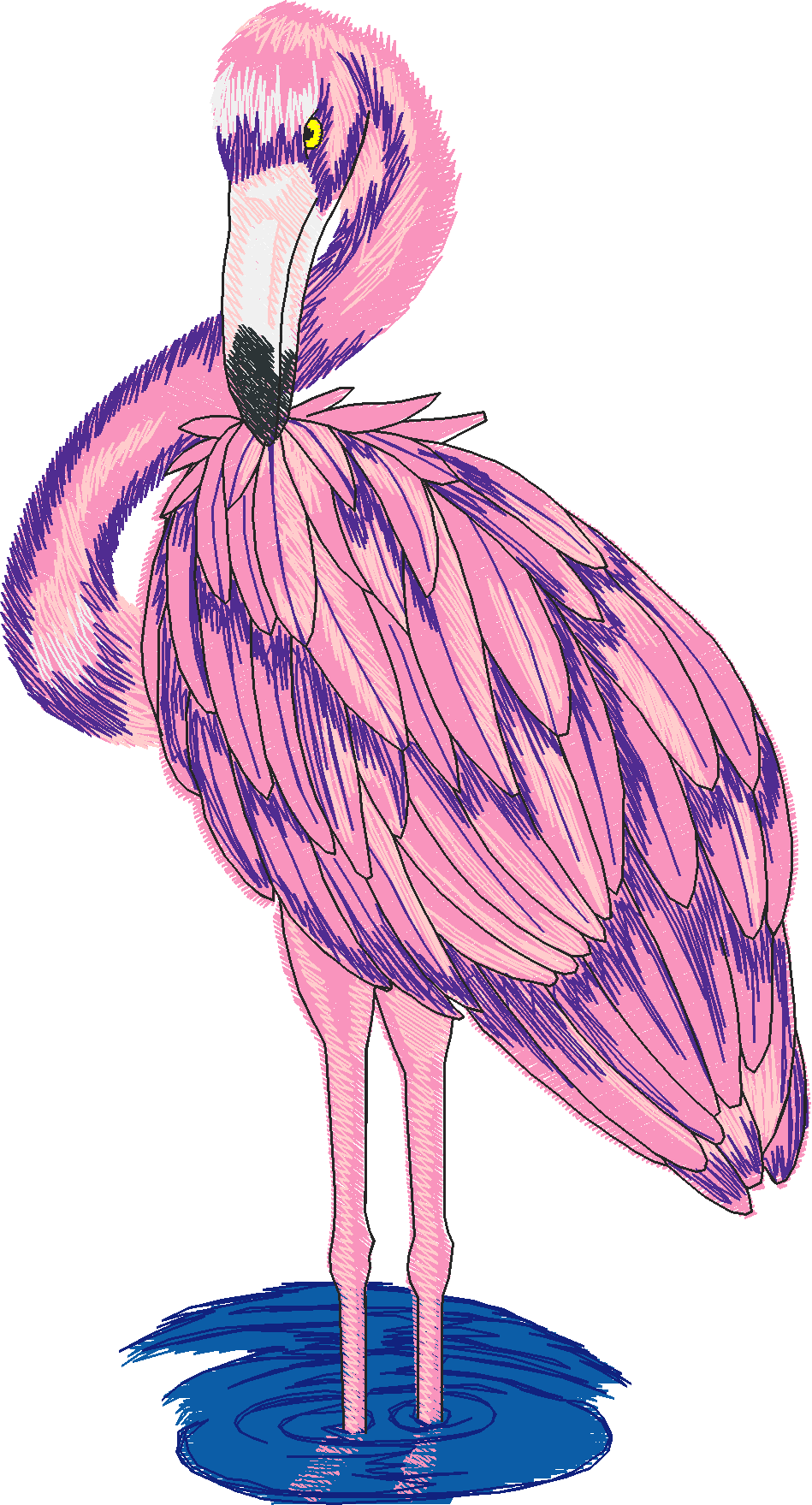 Jumbo   Tropical Birds 1  (4)